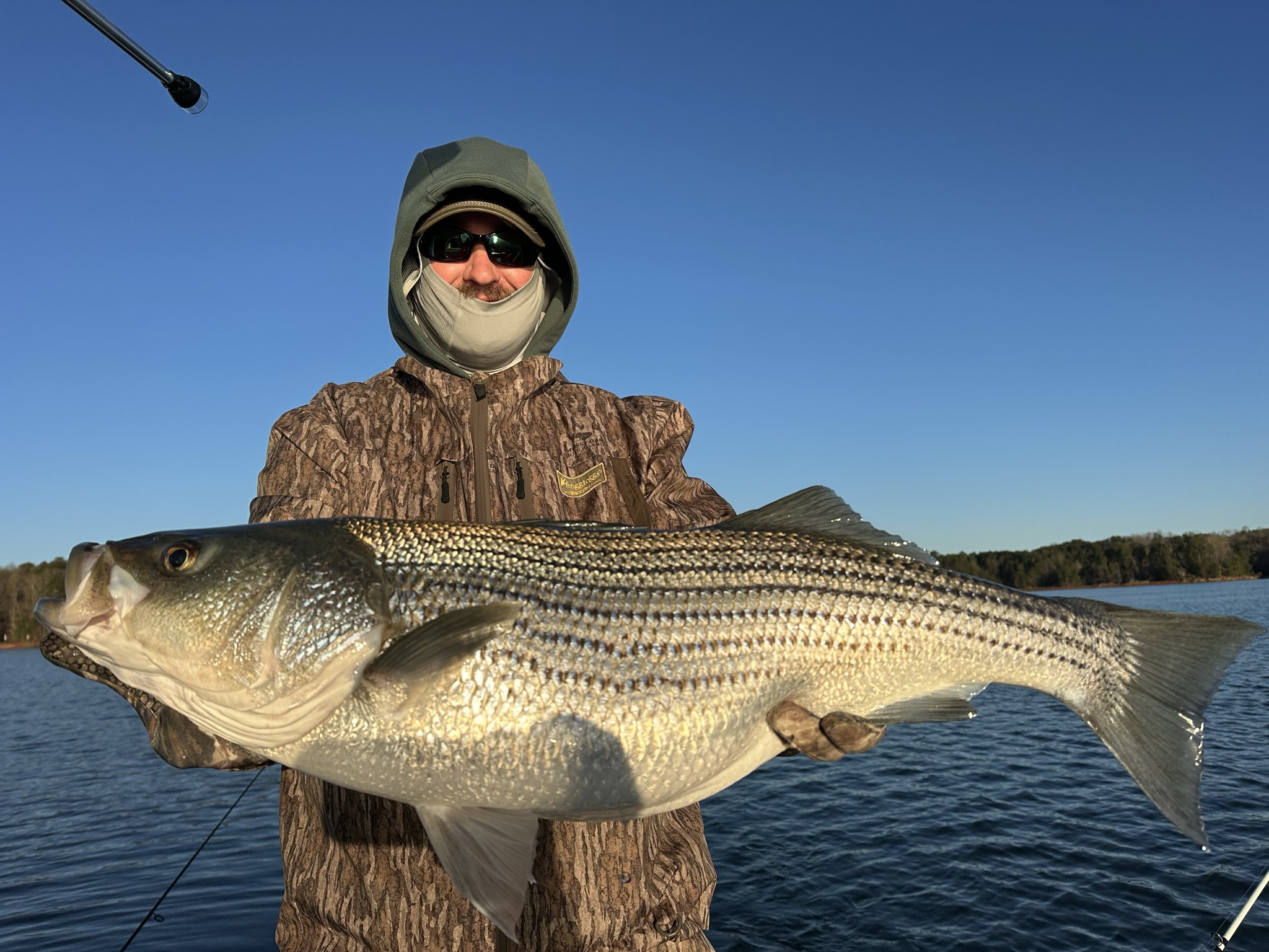 Striped Bass — March 2026