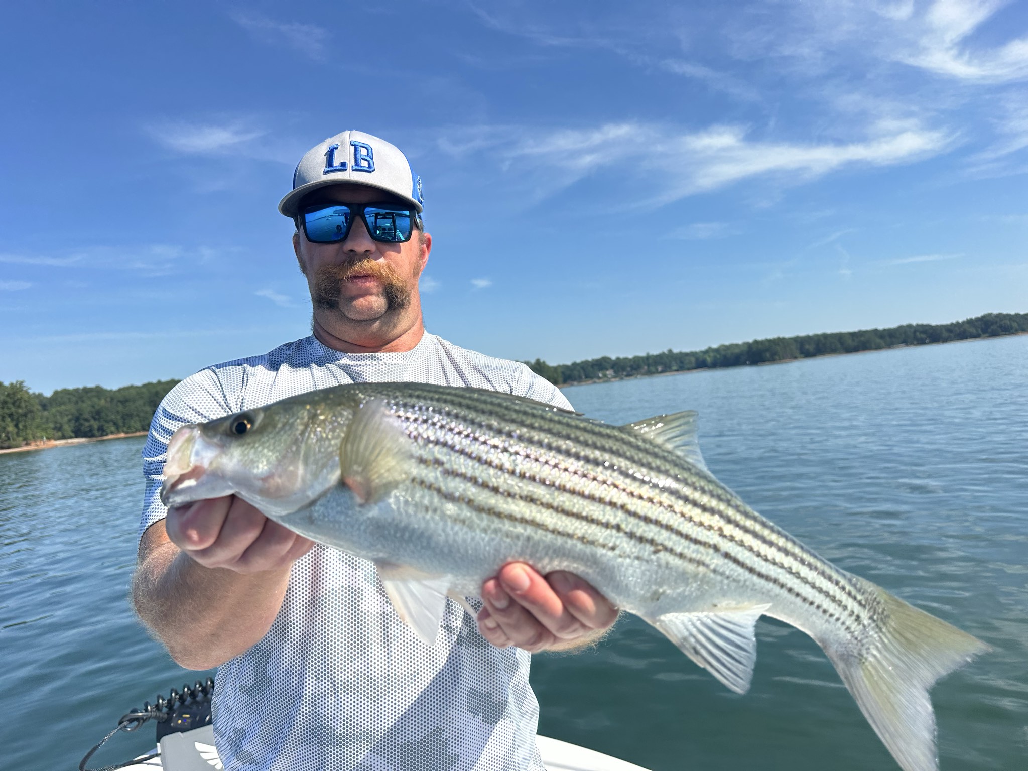 August Striped Bass Action On Lake Lanier