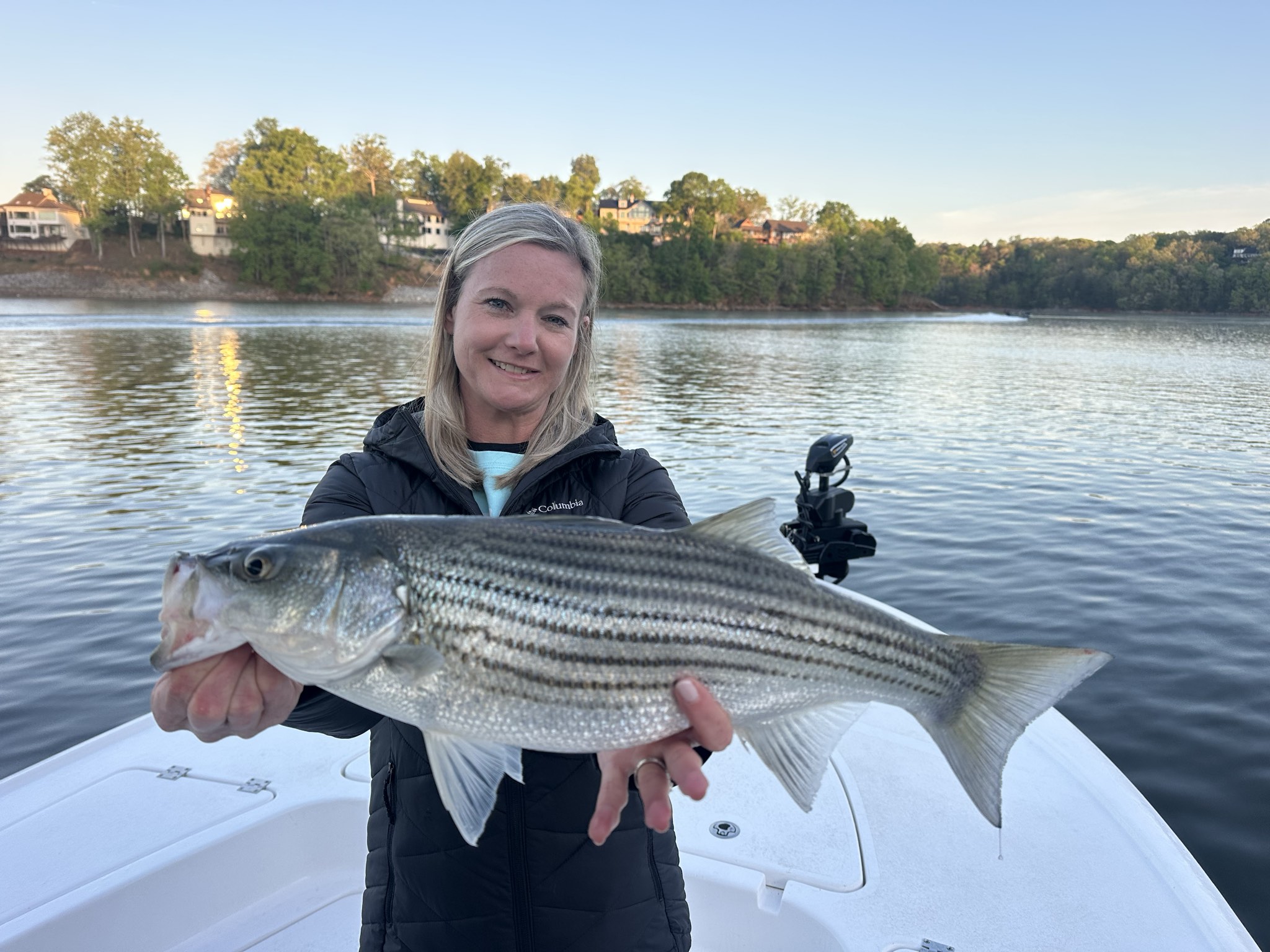 Striped Bass — April 2026