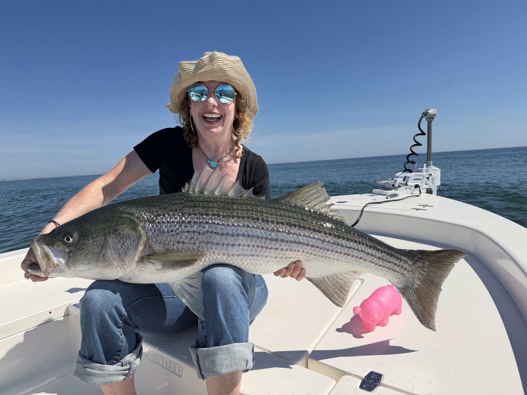 Striped bass caught out of Boston, Oct 2, 2026