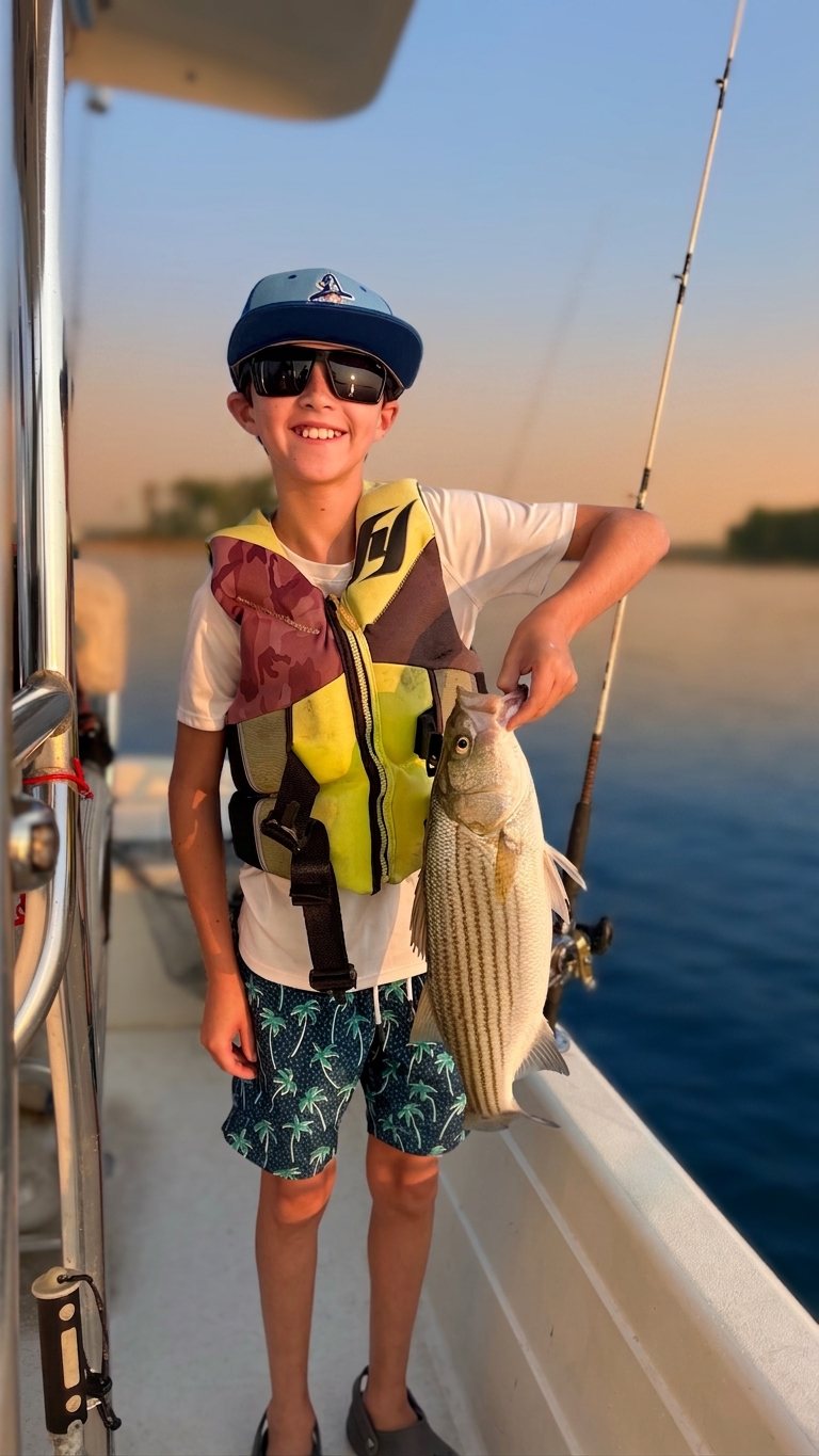 Striped Bass Spotted Bass Lake Lanier July
