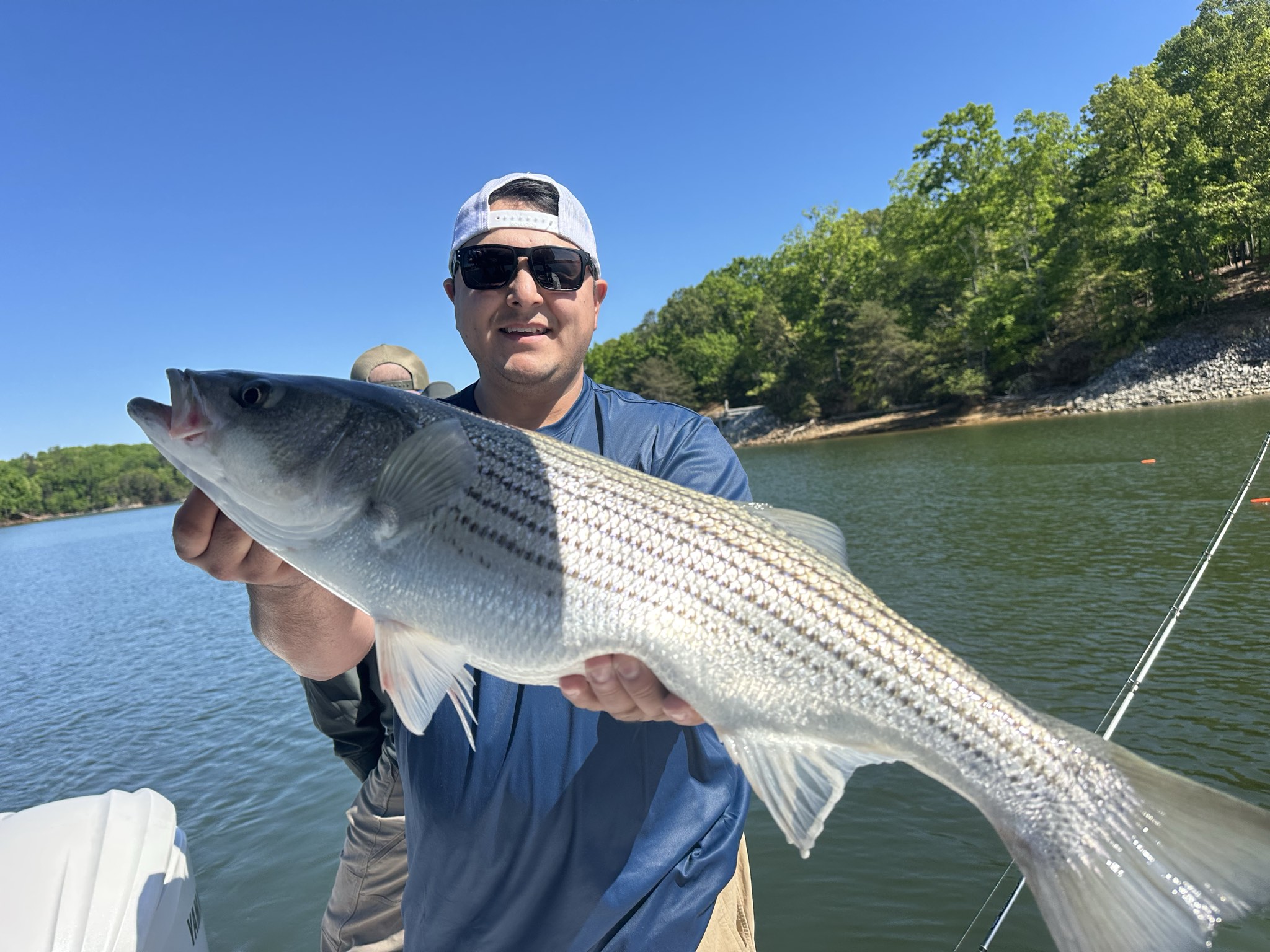 Striped Bass — April 2026