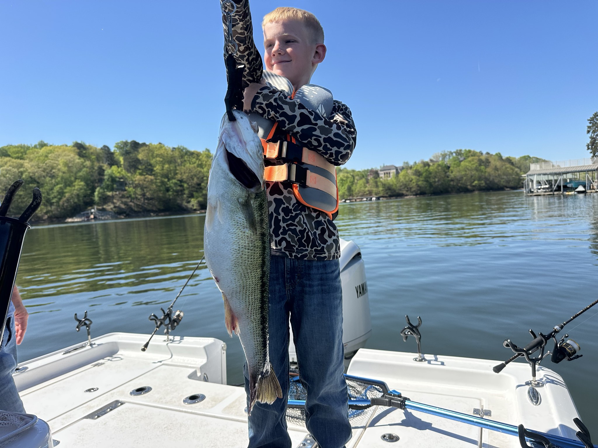 Striped Bass — April 2026