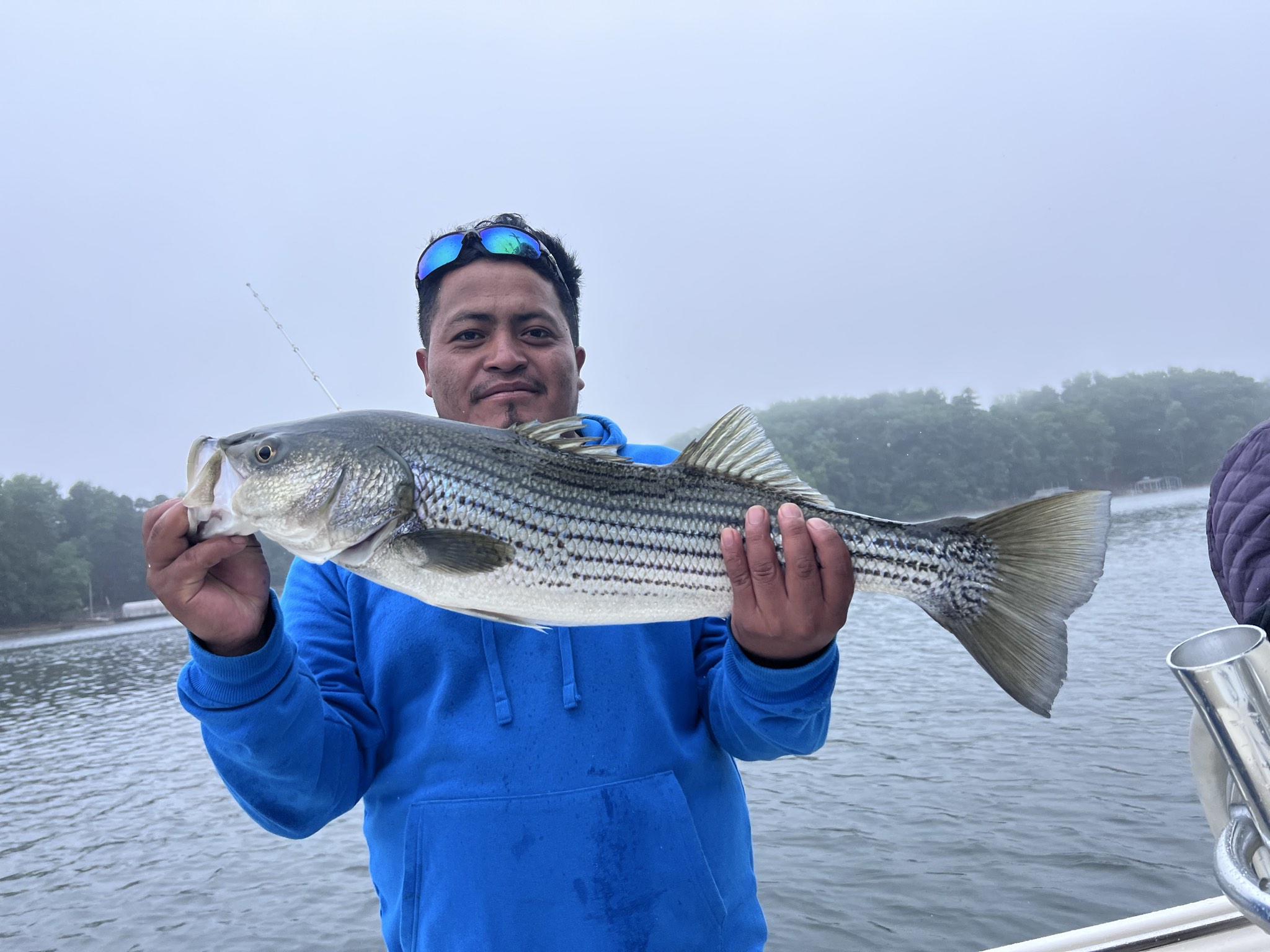 Striped Bass Success On Lake Lanier