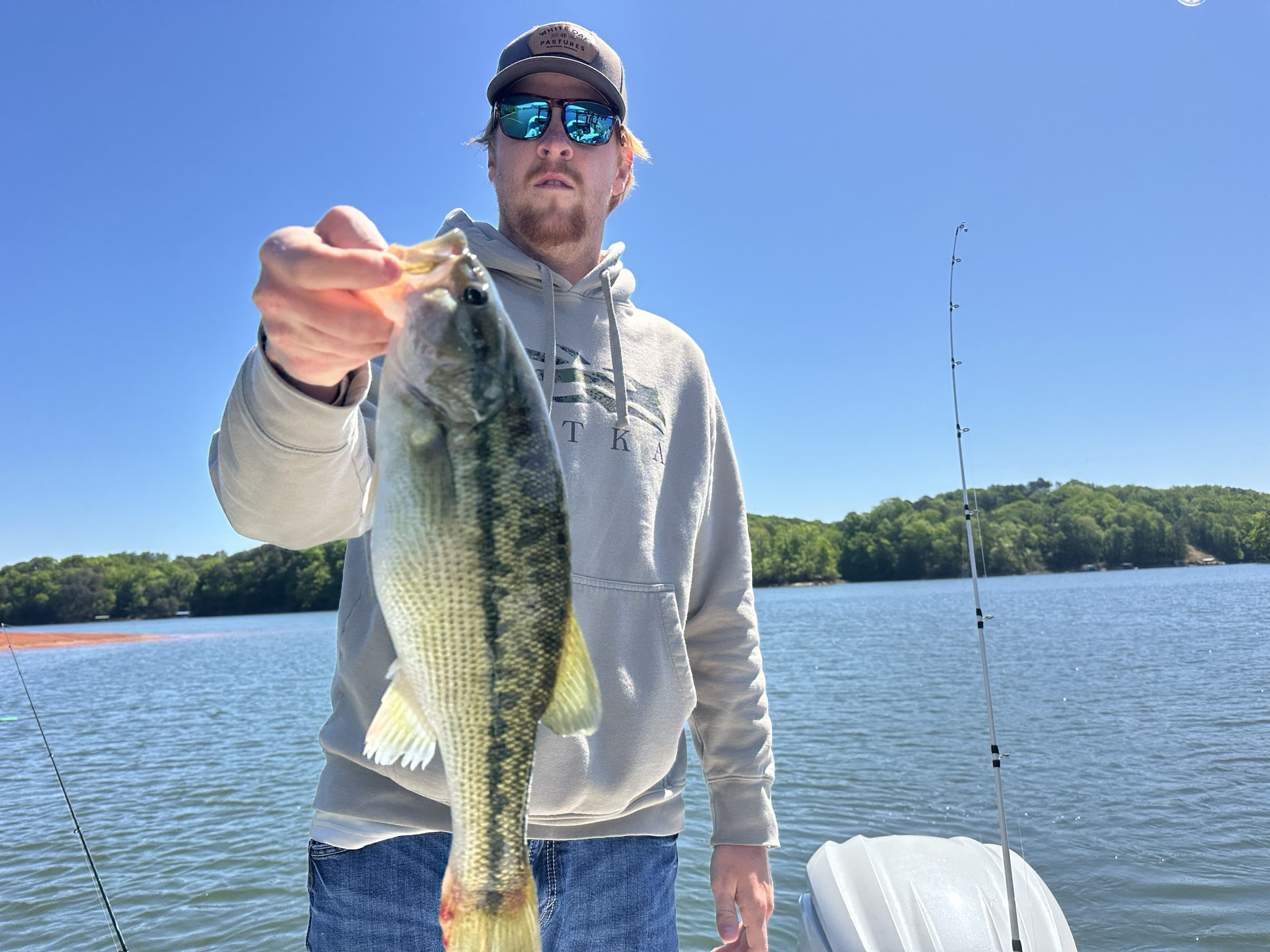 Striped Bass — April 2026