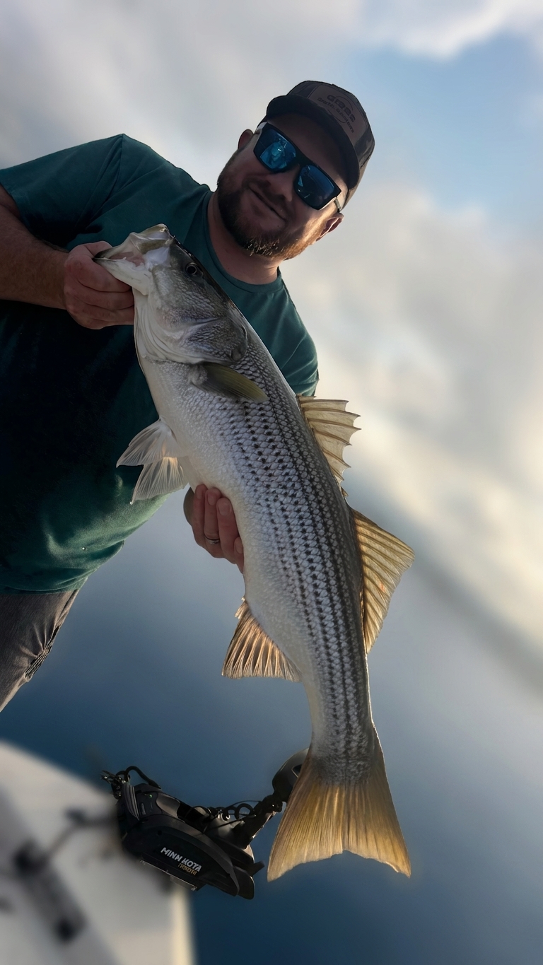 August Striped Bass Action on Lake Lanier