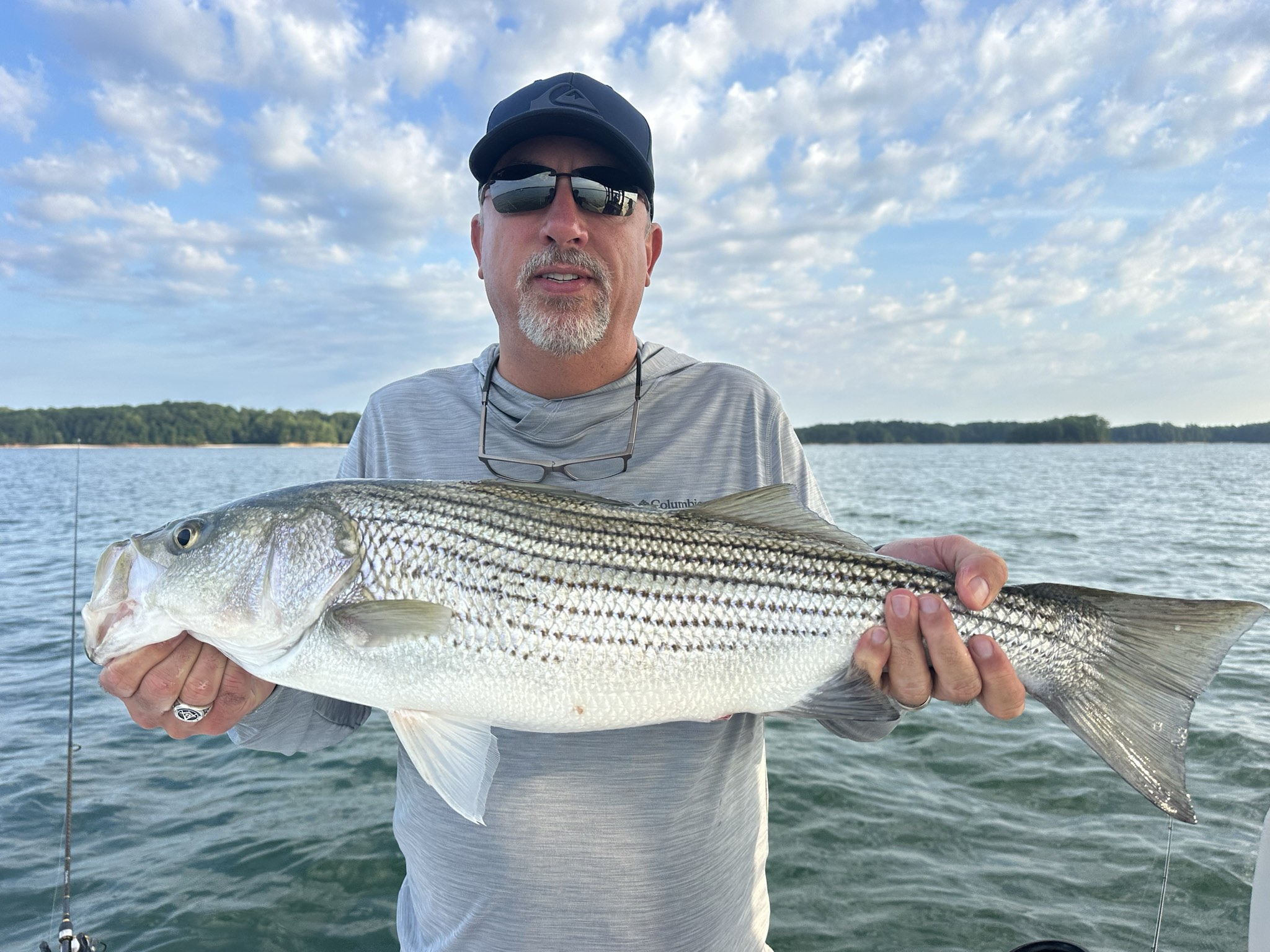 Striped And Spotted Bass Lake Lanier