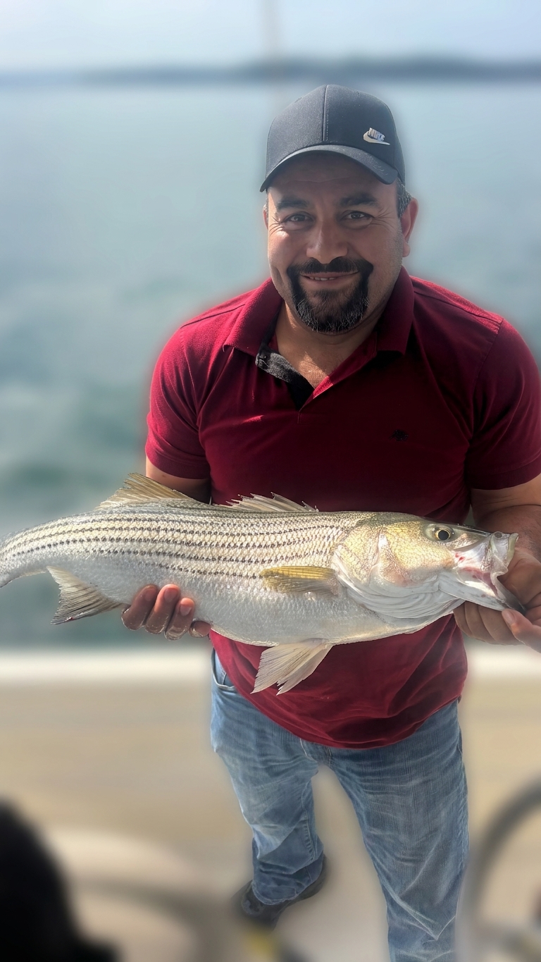 Striped bass caught on Lake Lanier, Sept 19, 2026