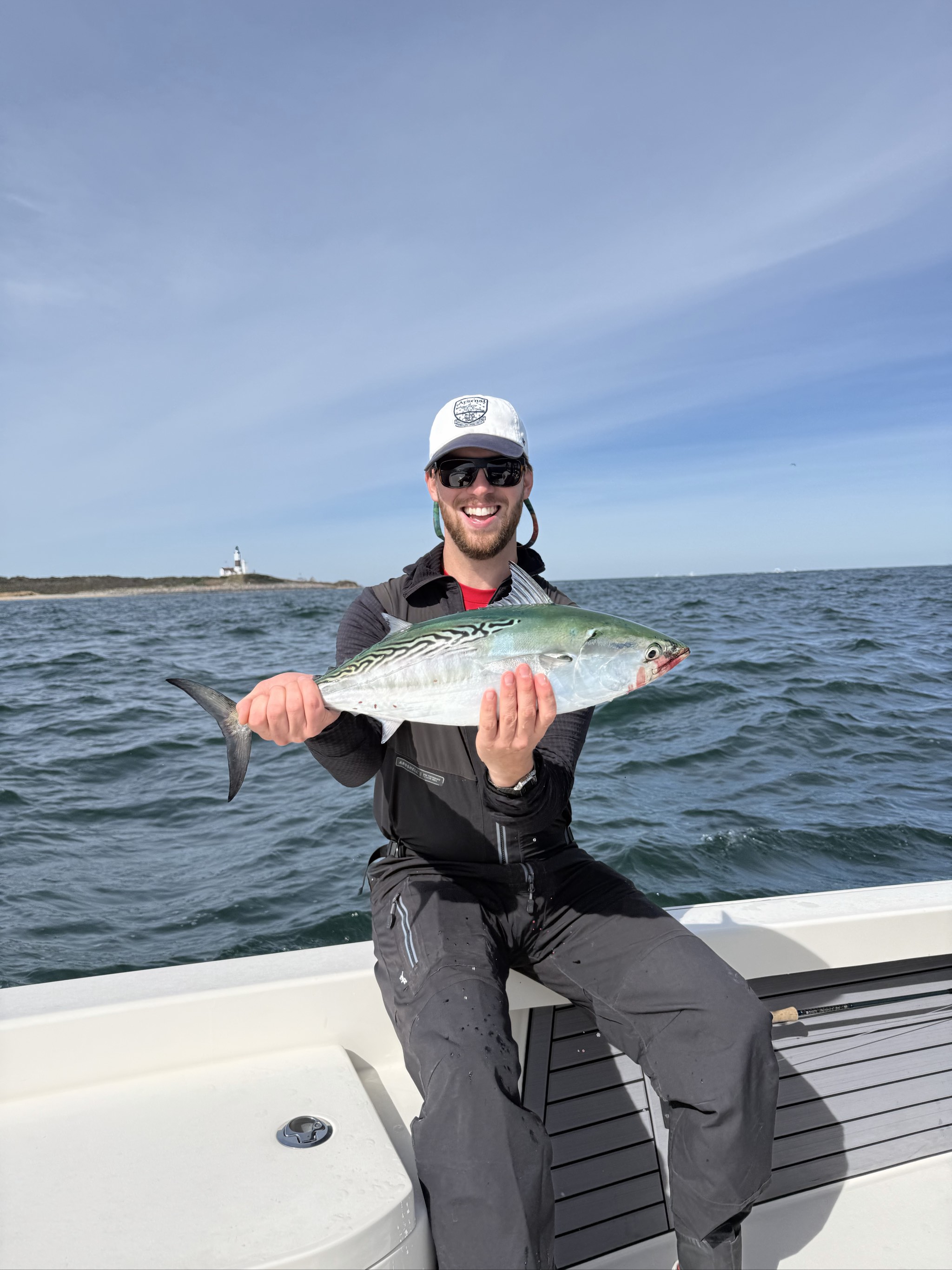 Atlantic bonito caught out of Boston, Oct 10, 2026