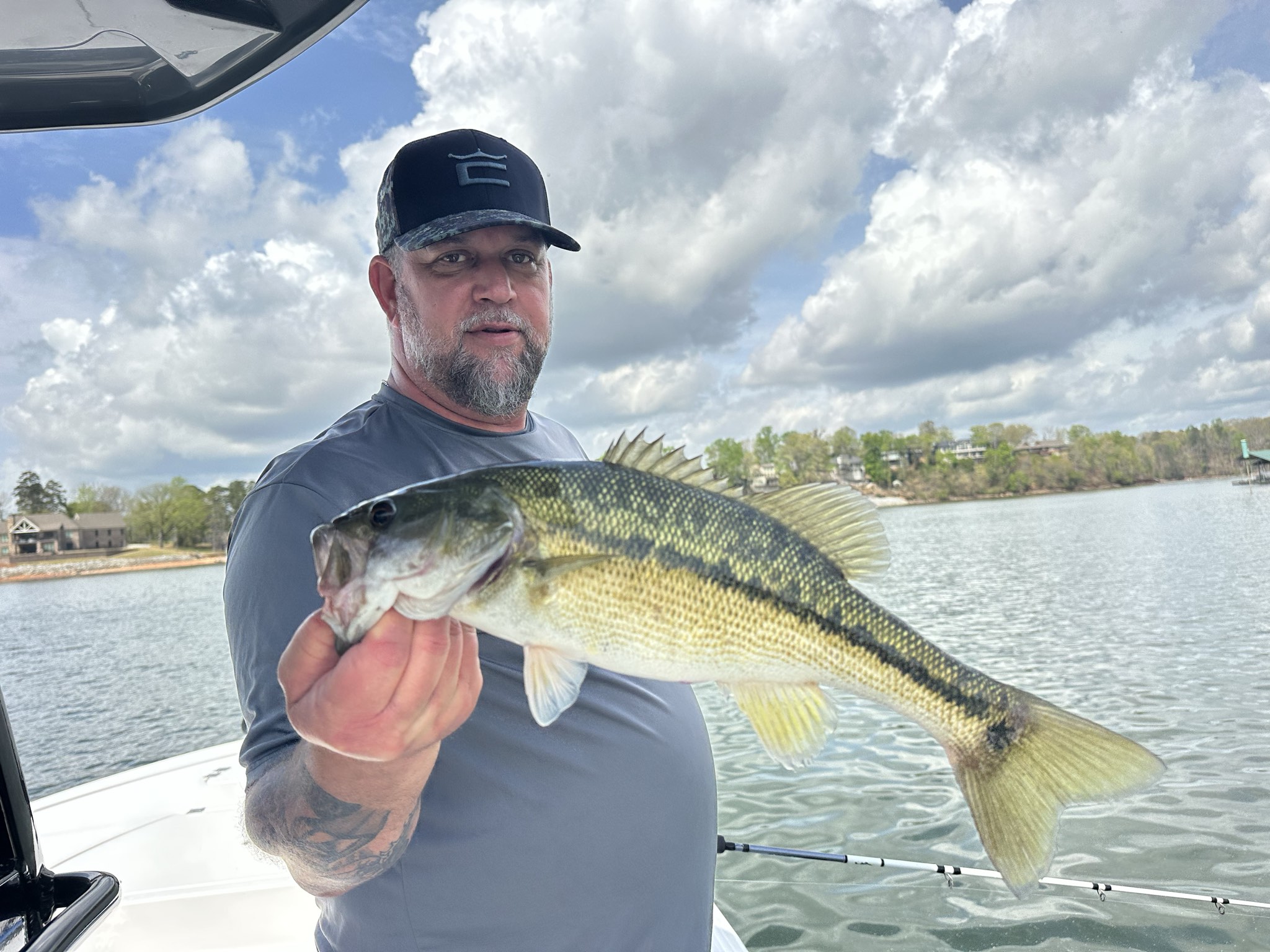 Striped Bass — April 2026