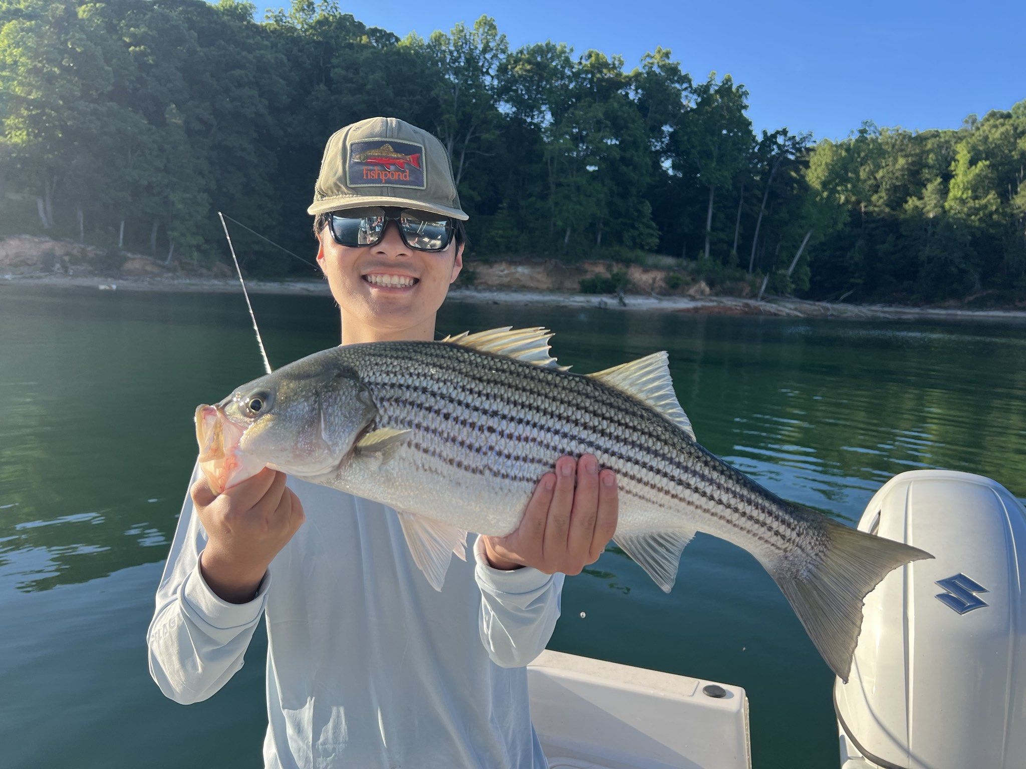 June Spotted and Striped Bass on Lake Lanier
