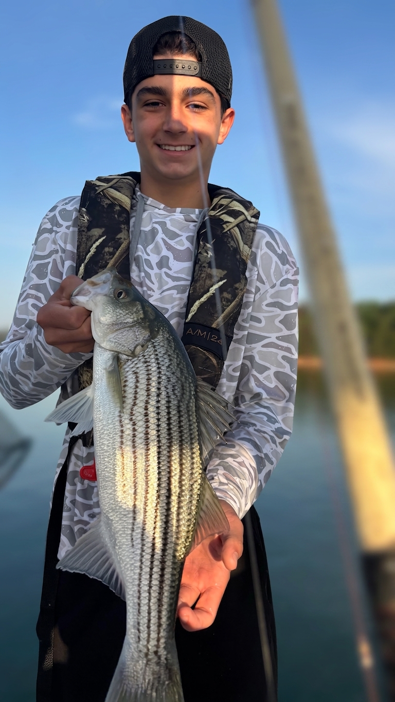 Family Fun: Four Species at Lake Lanier