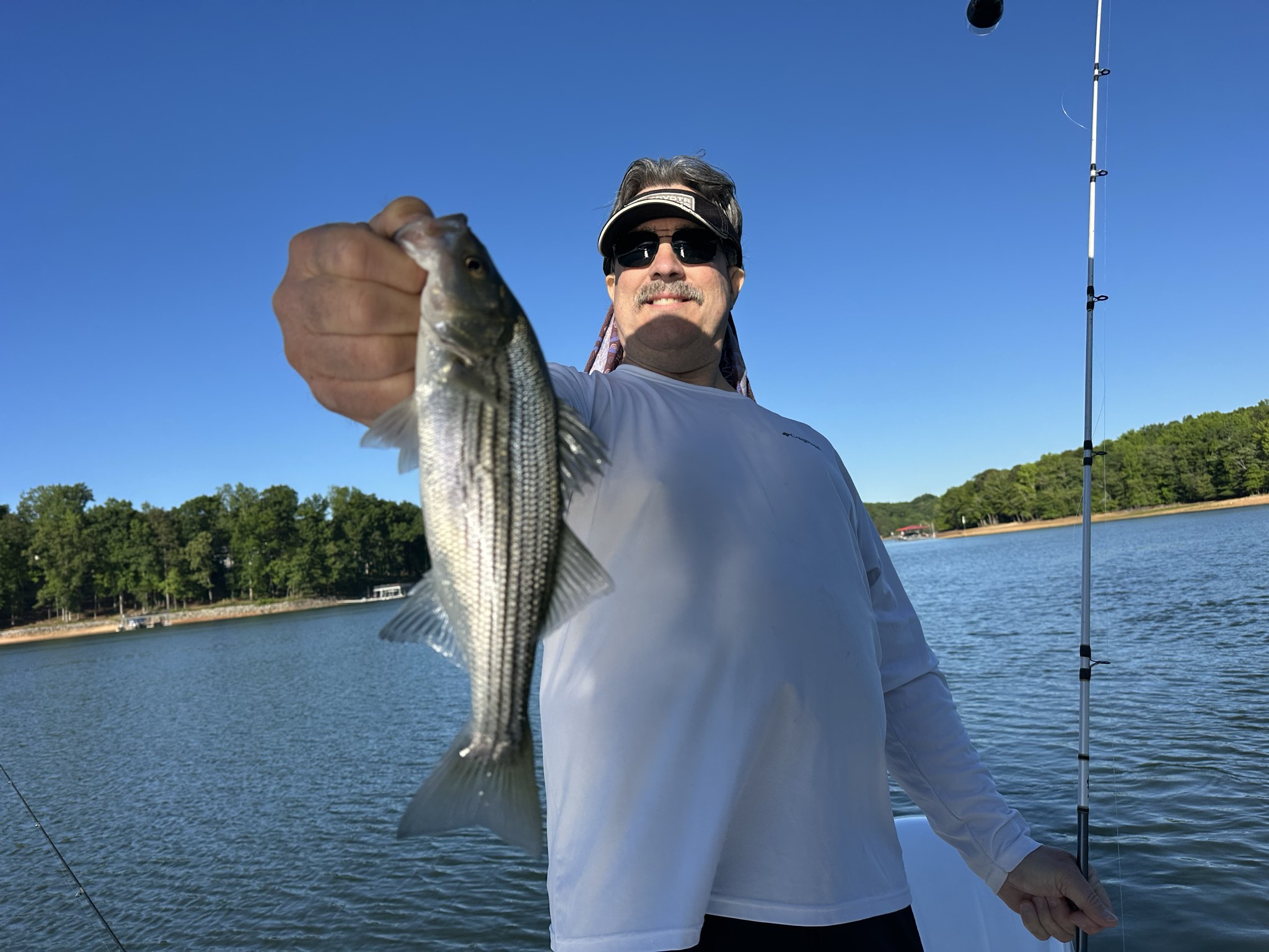 Striped Bass — May 2026