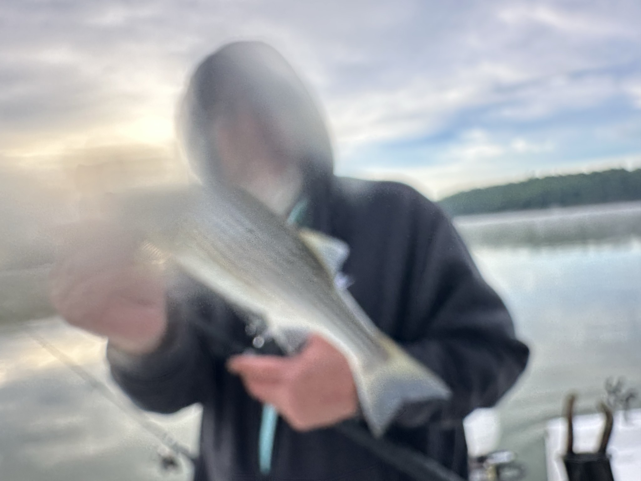 Striped Bass — May 2026