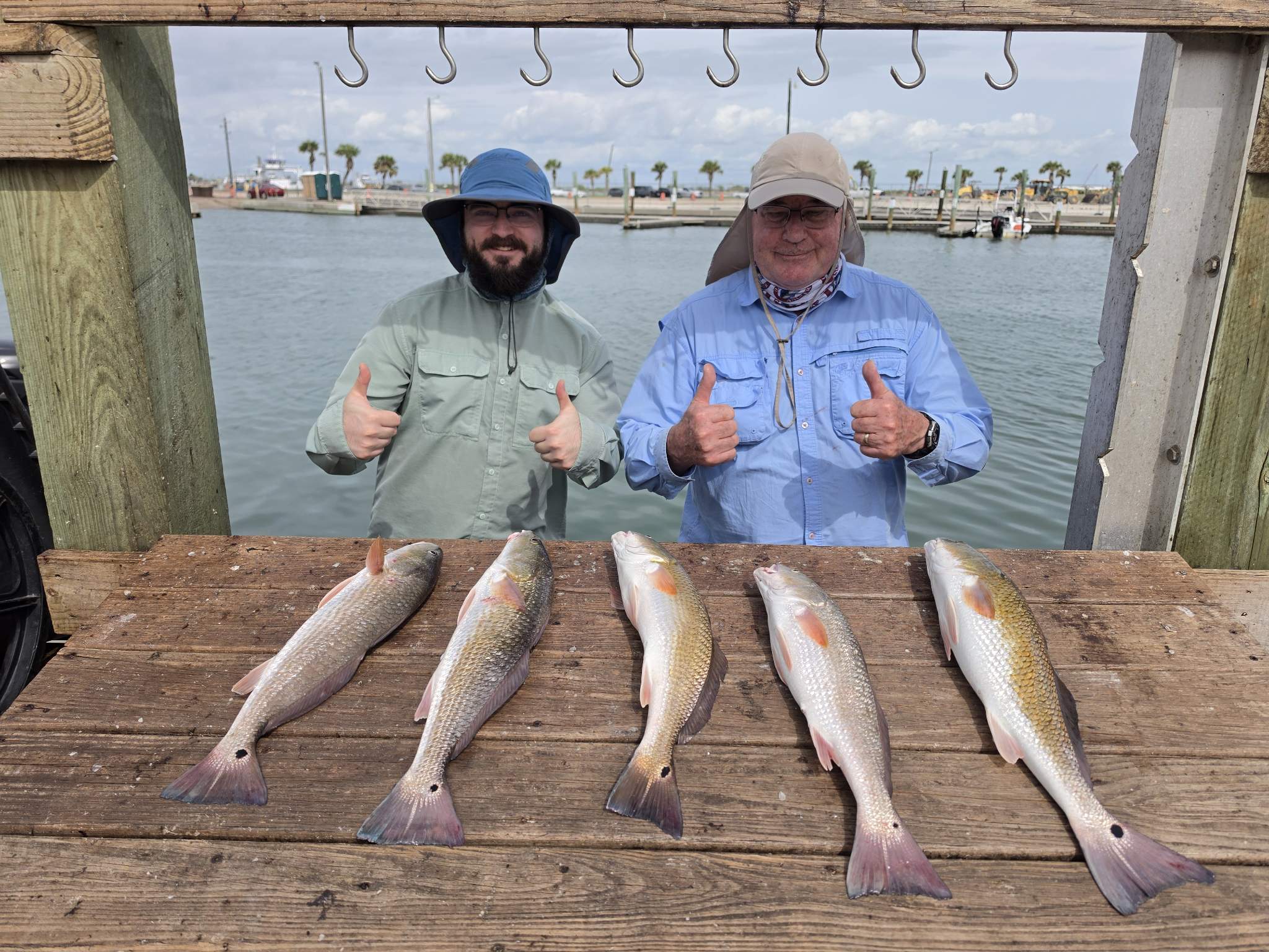 5 red drum caught out of Port Aransas, Oct 25, 2026
