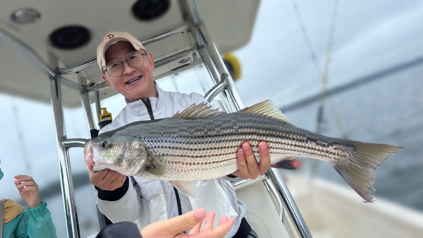 Lake Lanier Striped bass — October 2026