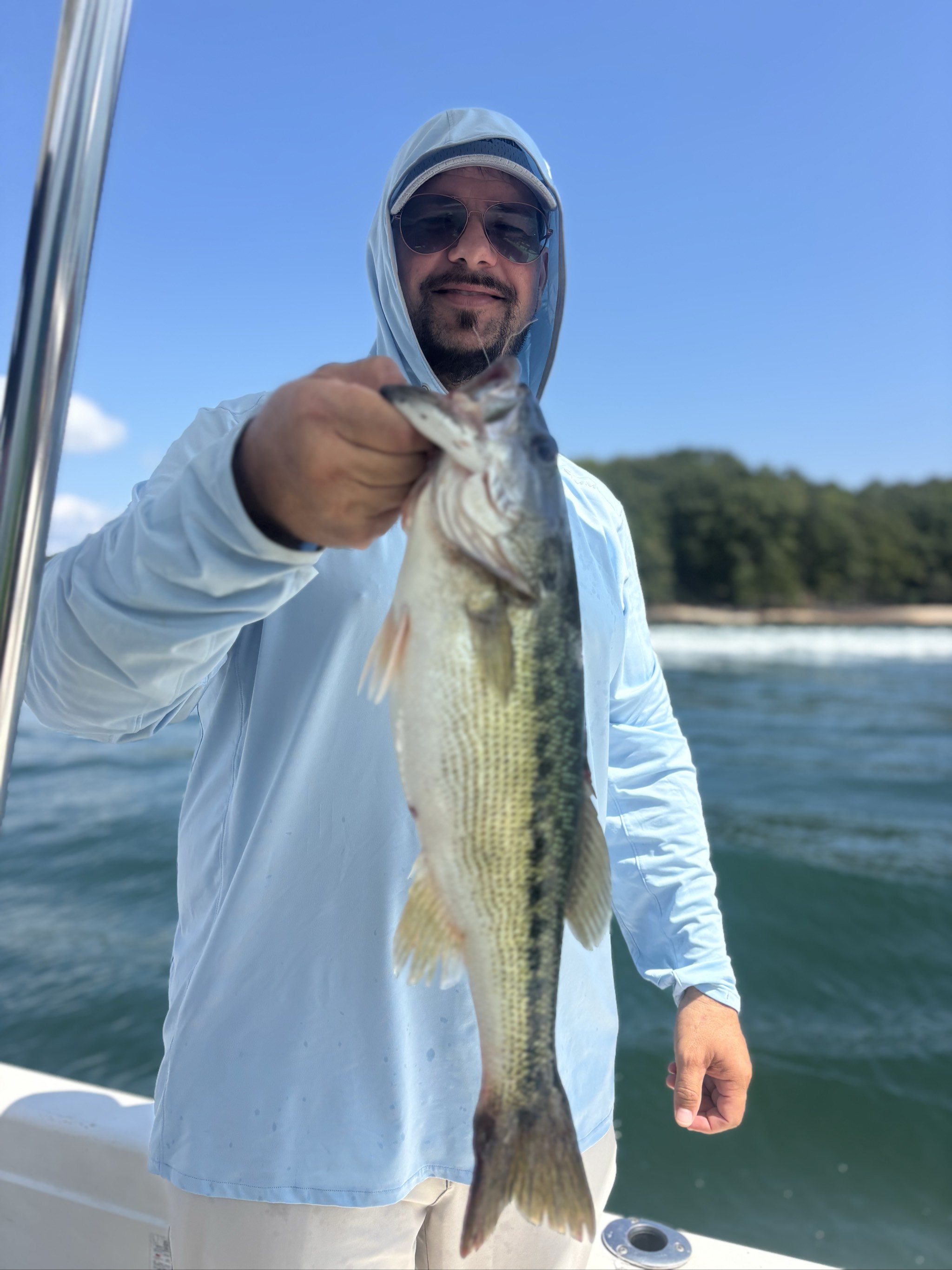 Striped And Spotted Bass Success Lake Lanier