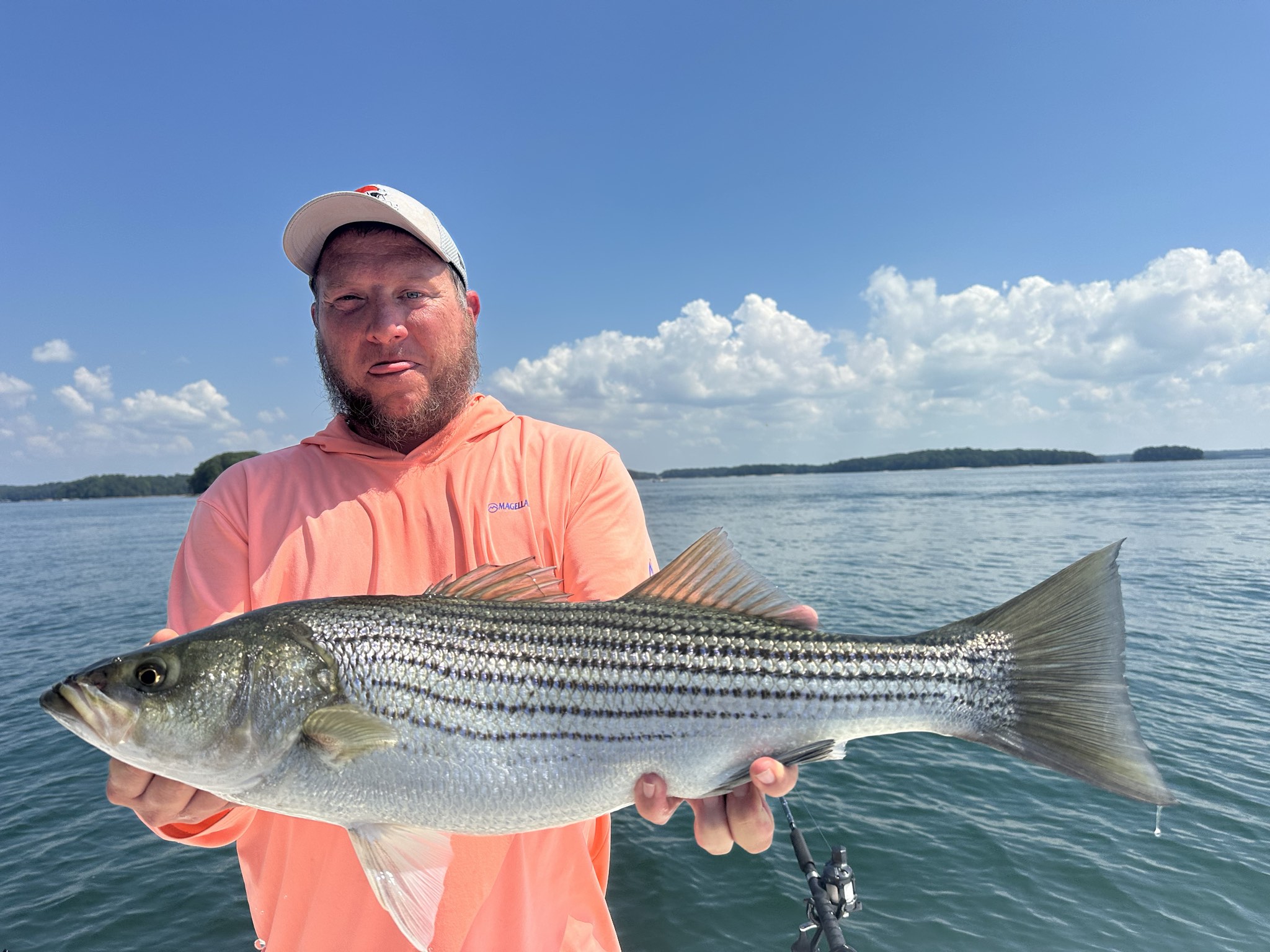 September Striped Bass Action Lake Lanier
