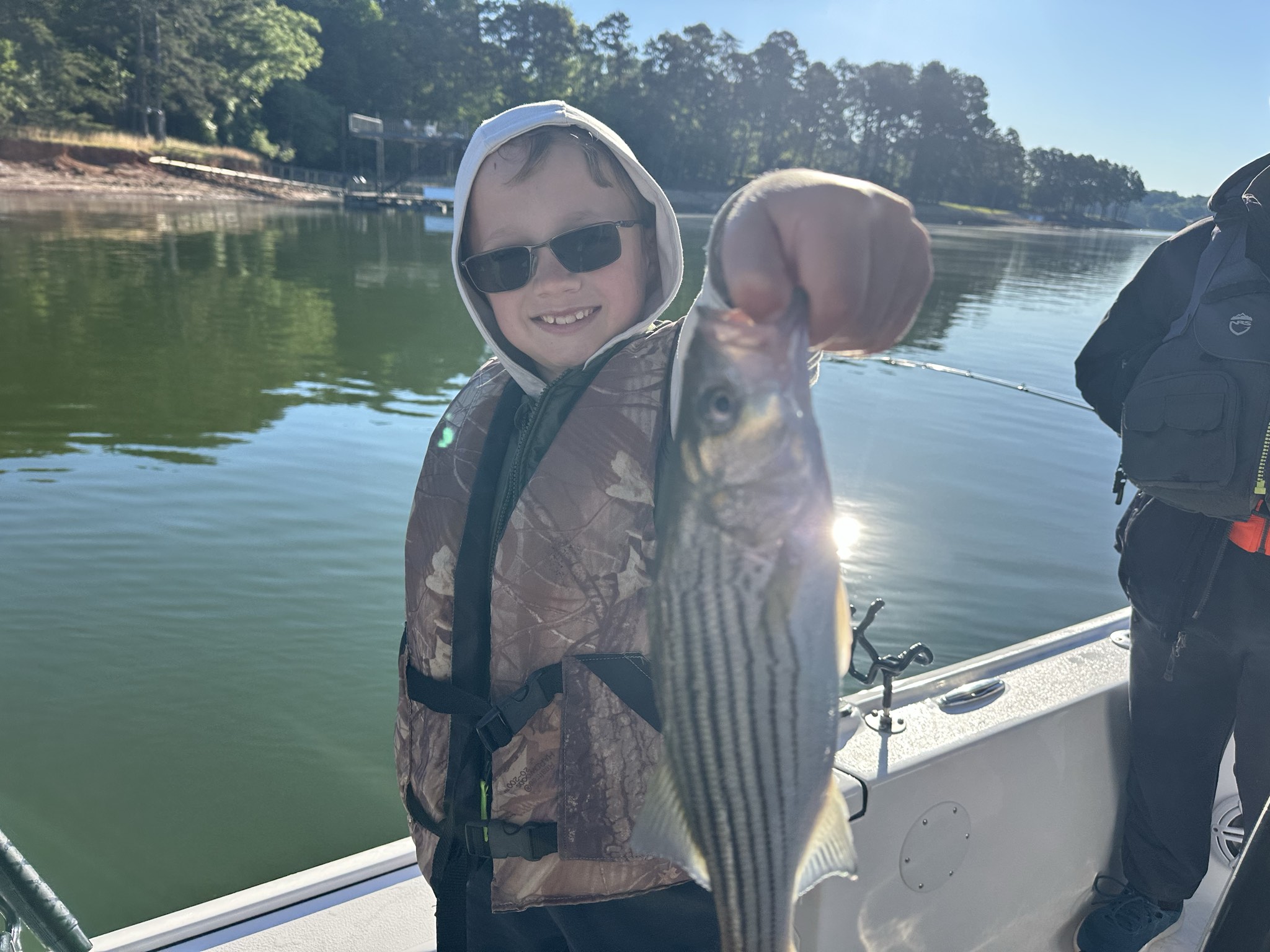 Striped Bass — May 2026