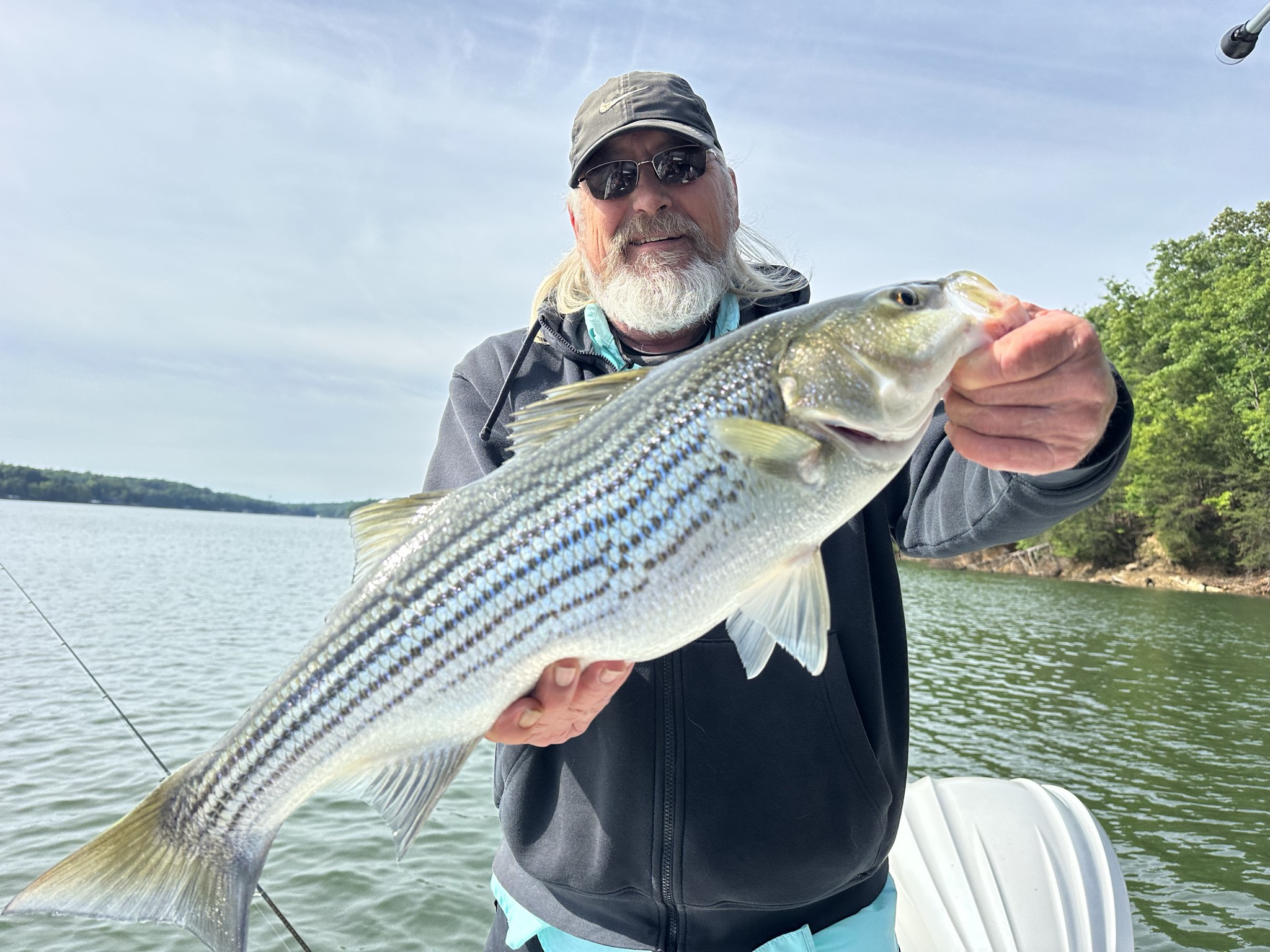 Striped Bass — May 2026