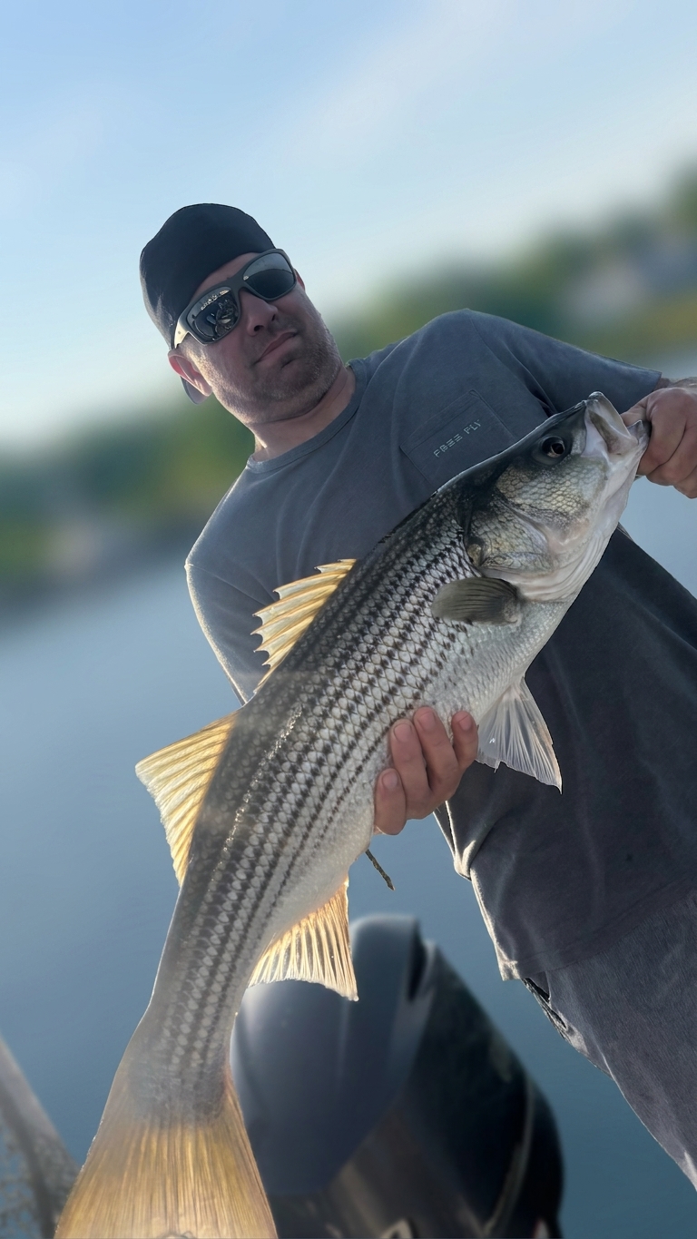 Lake Lanier bass — August 2026