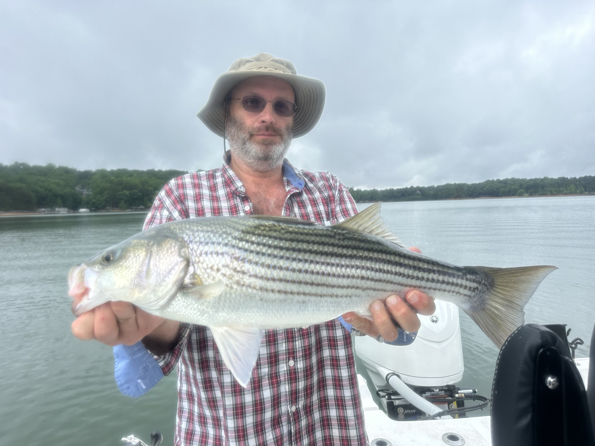 Striped Bass And Spotted Bass Action On Lake Lanier