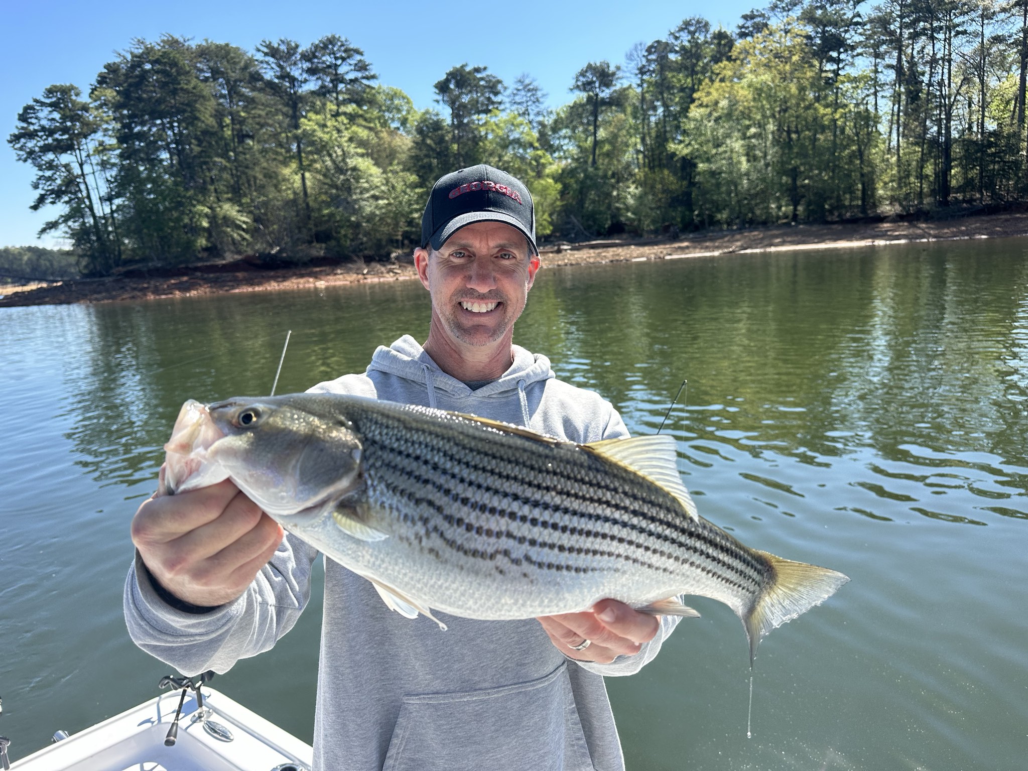April Striped Bass And Spotted Bass On Lake Lanier