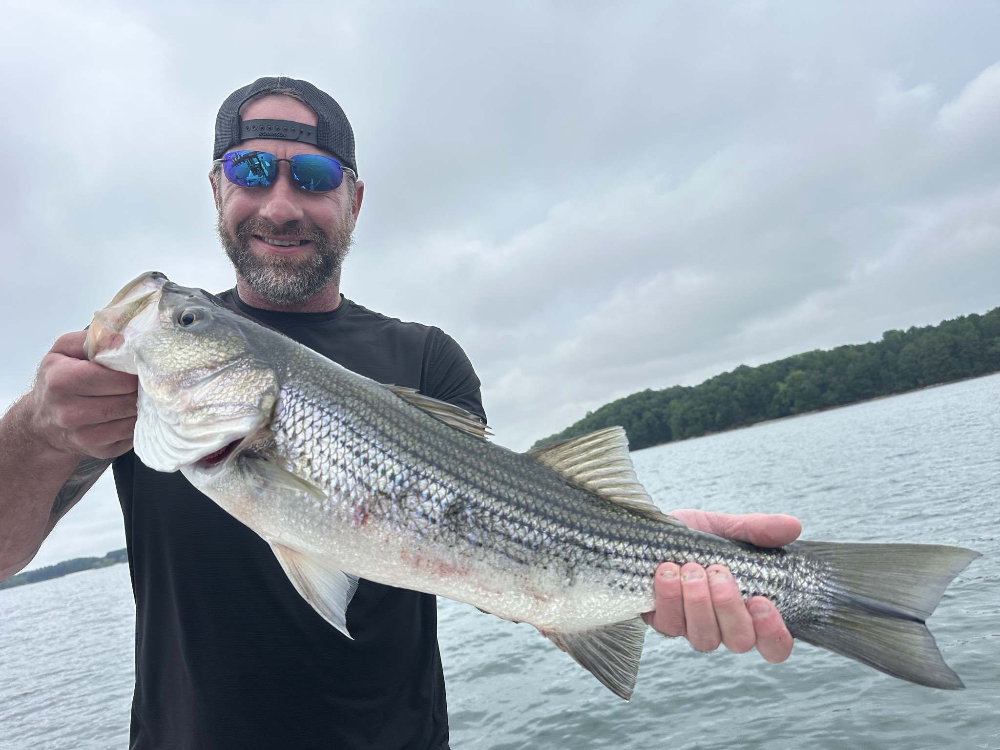 Summer Bass Bite on Lake Lanier