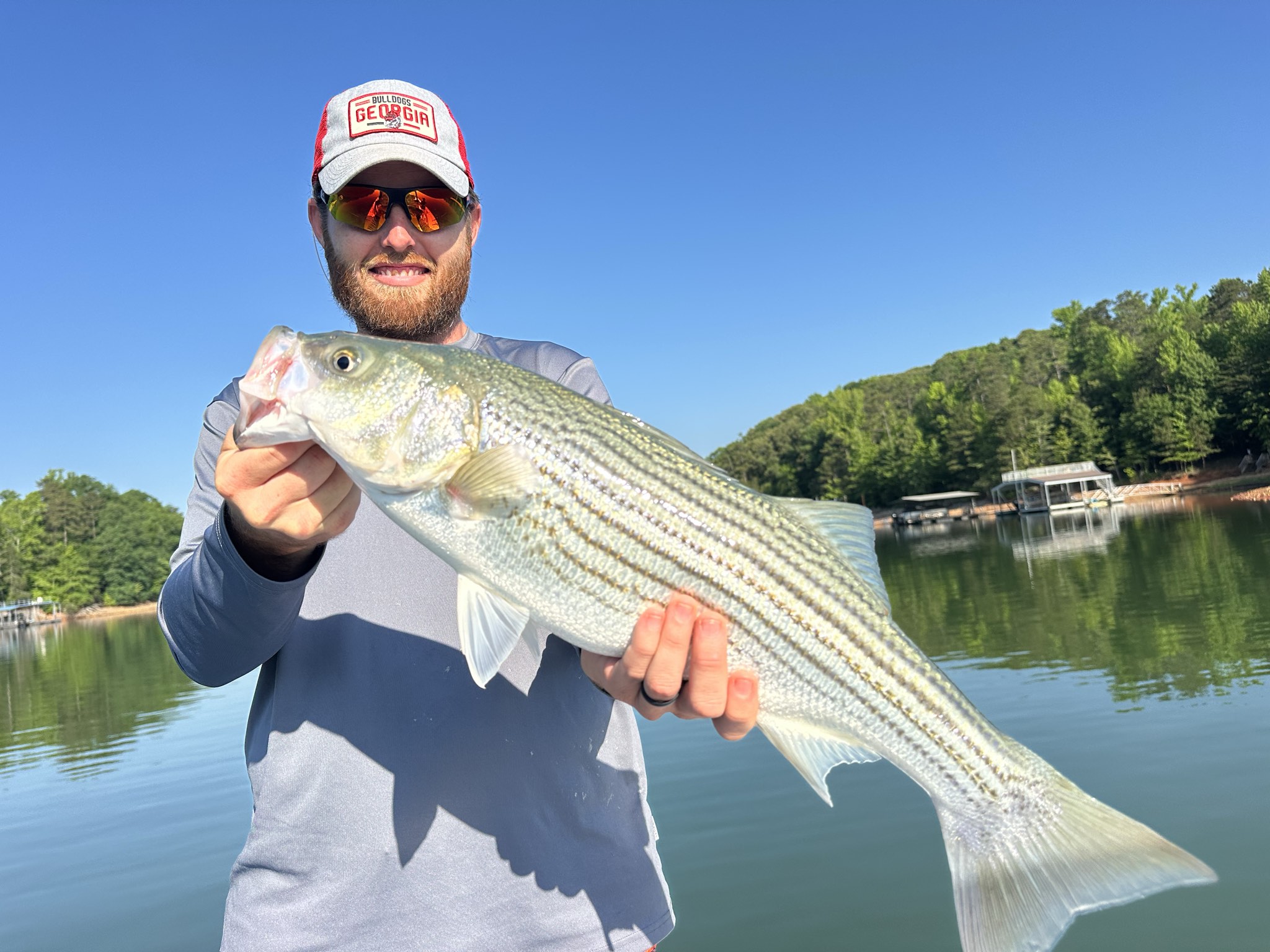 Striped Bass — May 2026