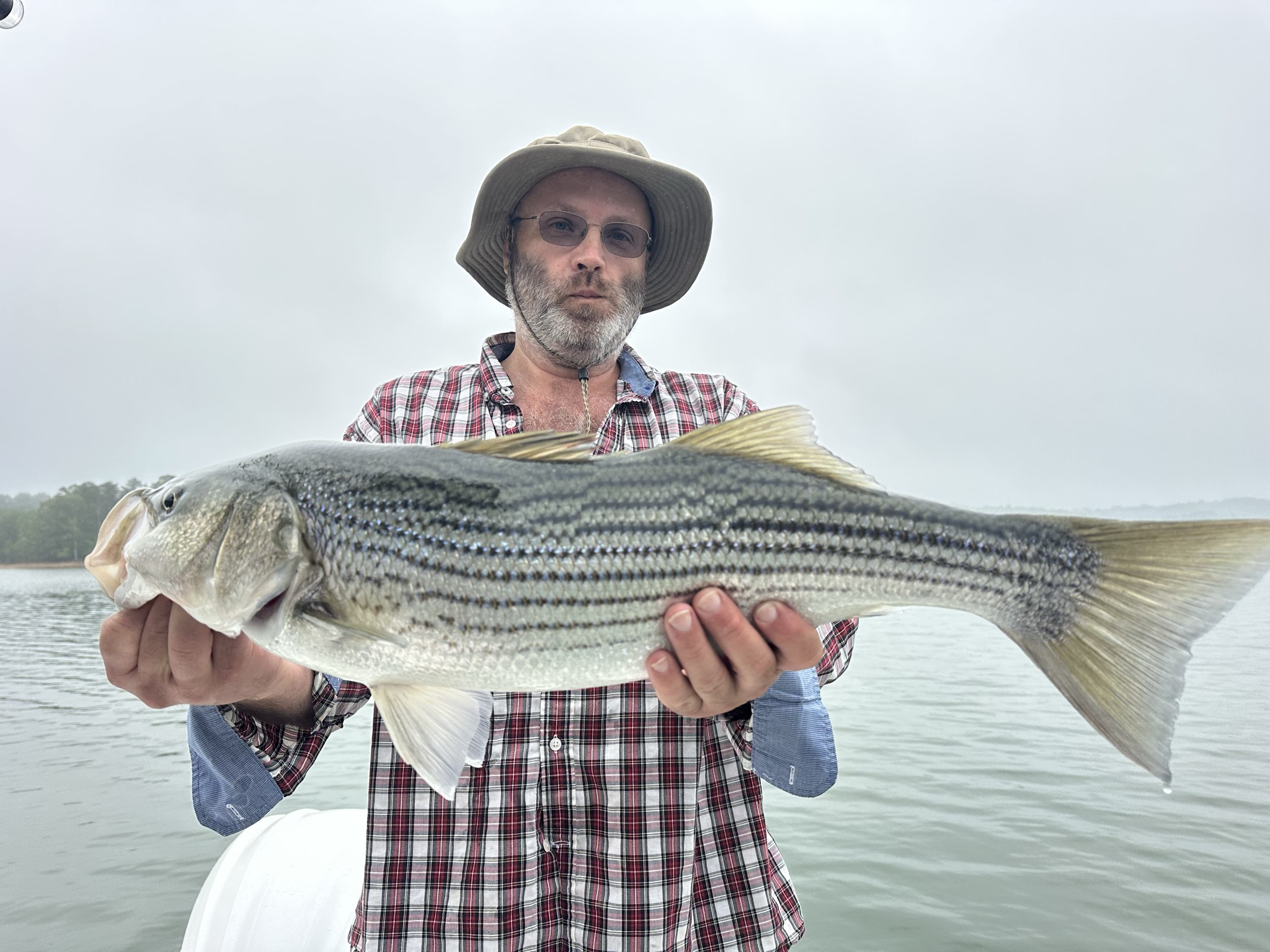Striped Bass And Spotted Bass Action On Lake Lanier