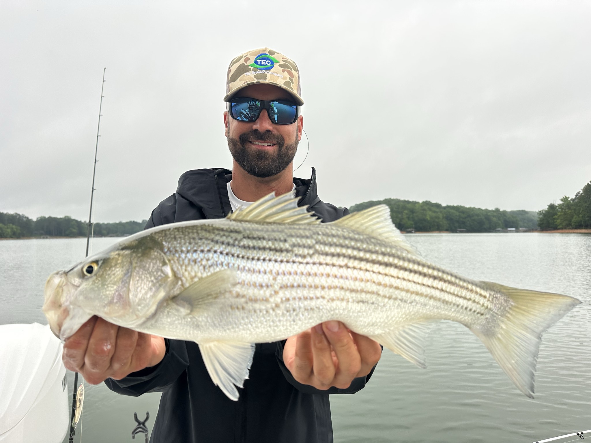 Striped Bass — May 2026
