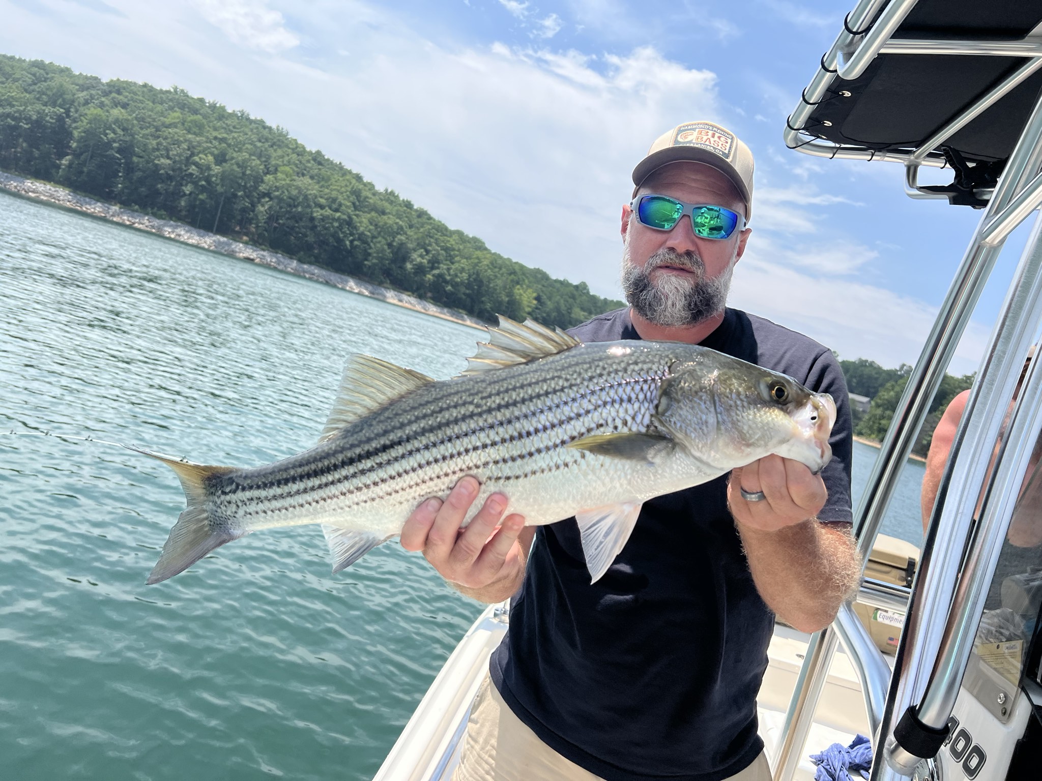 Striped Bass Action On Lake Lanier