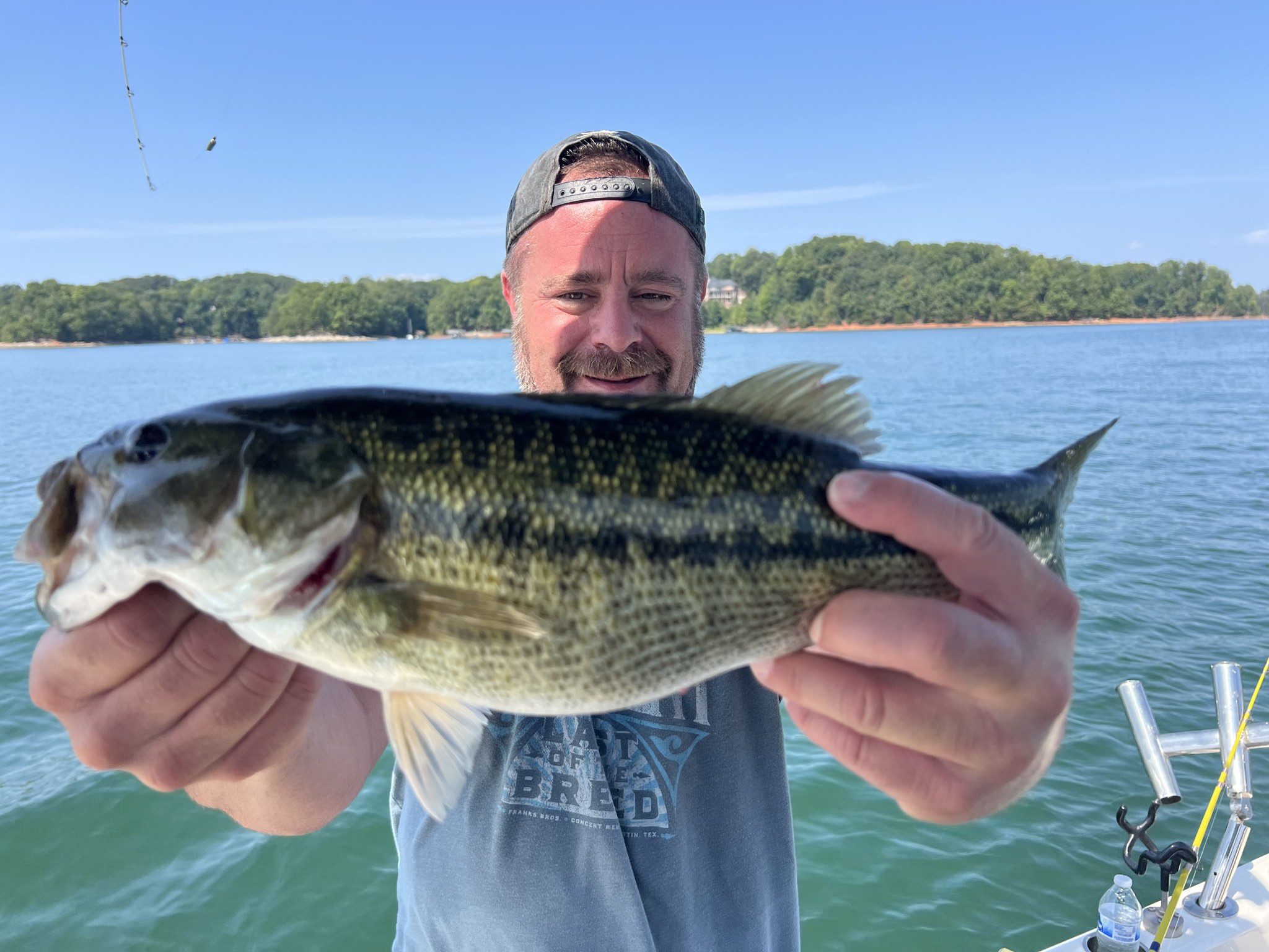 September Gar And Bass Action Lake Lanier