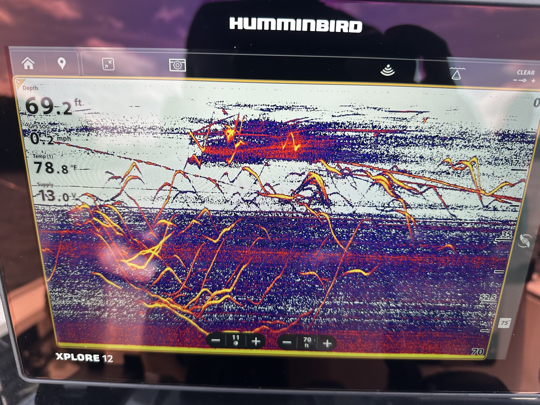 Striped Bass And Spotted Bass Dominate Lake Lanier