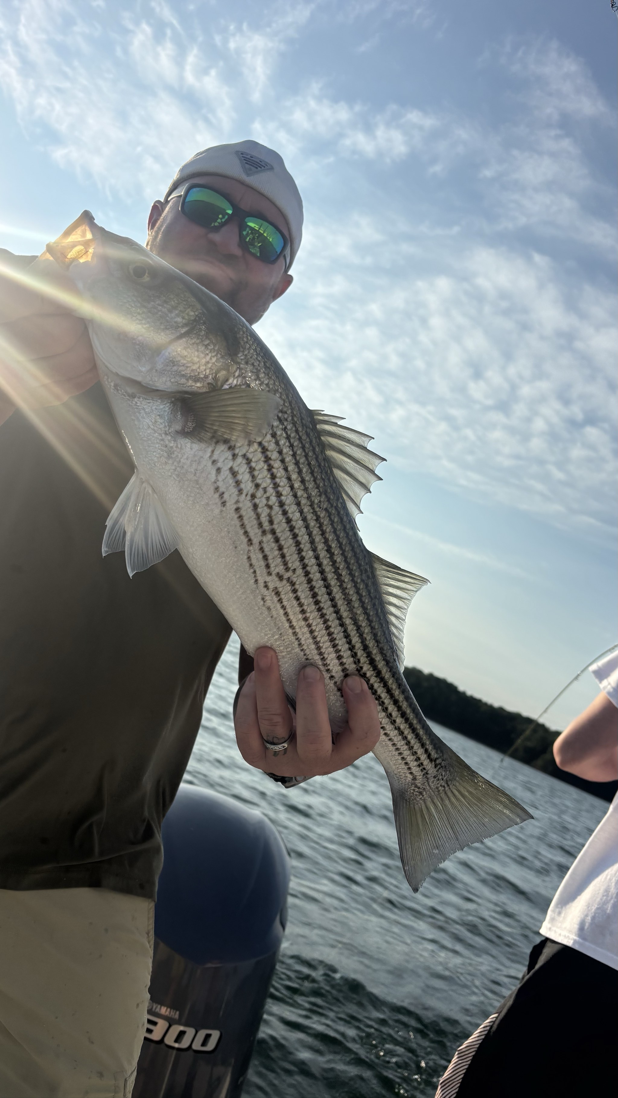 August Striped Bass Bonanza at Lake Lanier