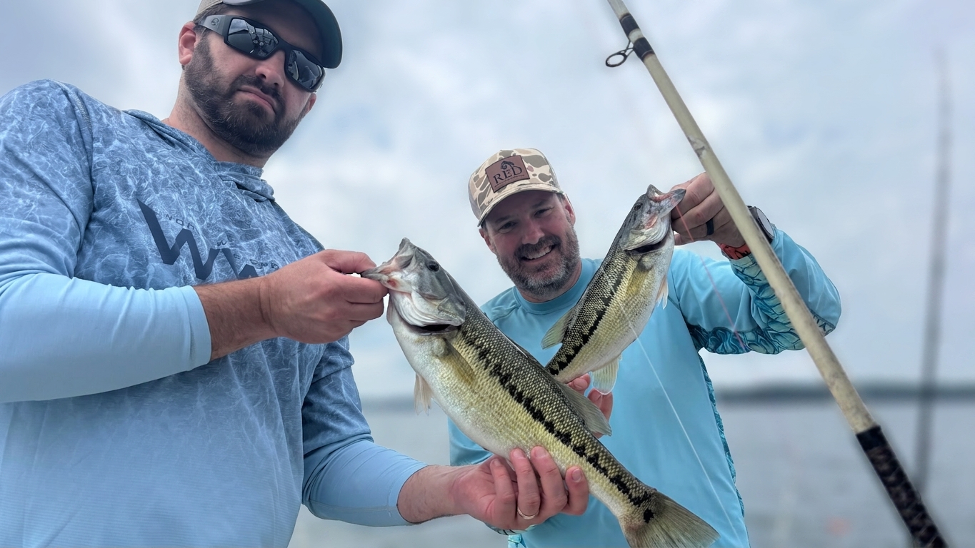 May Striped Bass Bite Lake Lanier