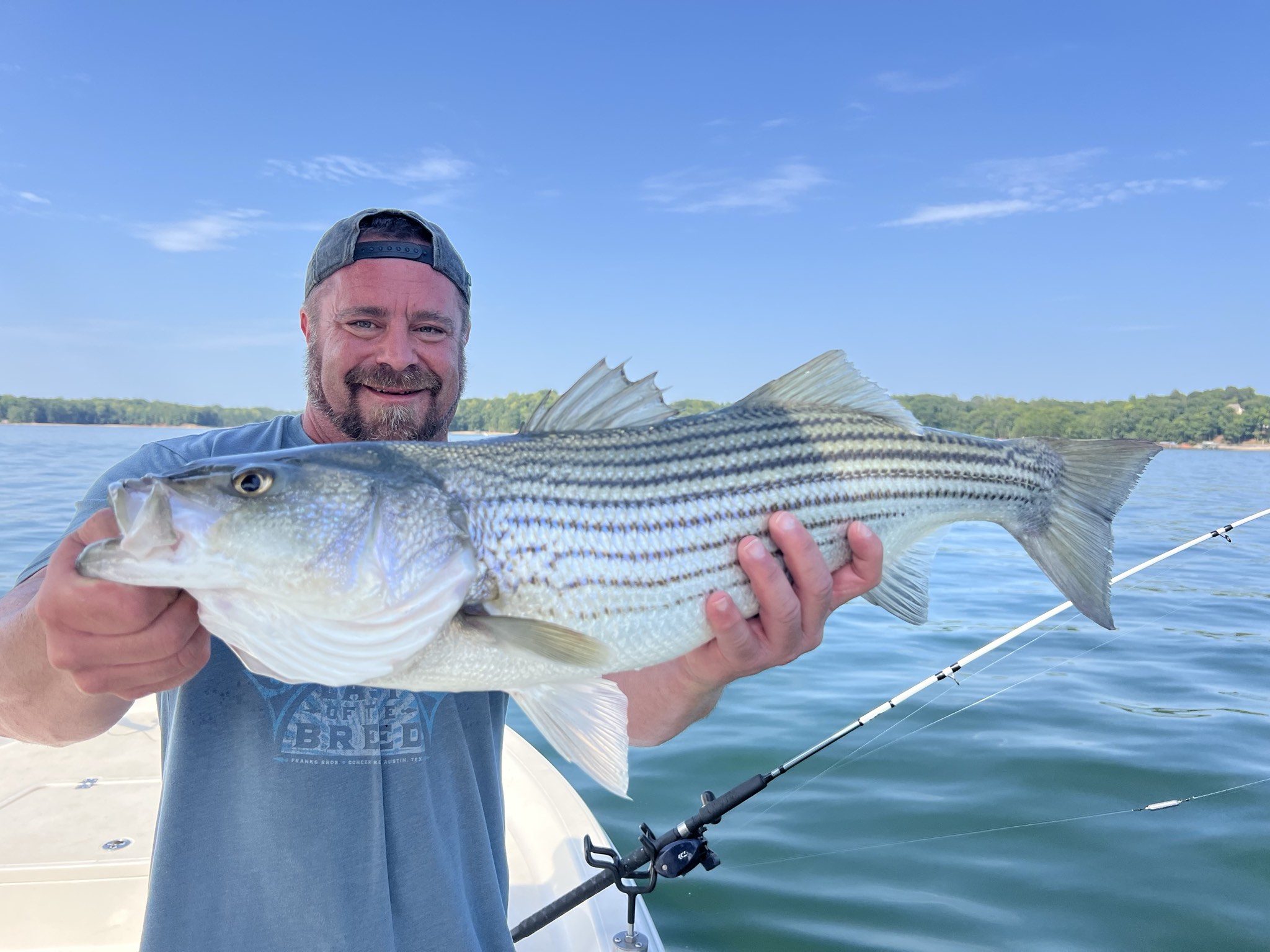 September Gar And Bass Action Lake Lanier