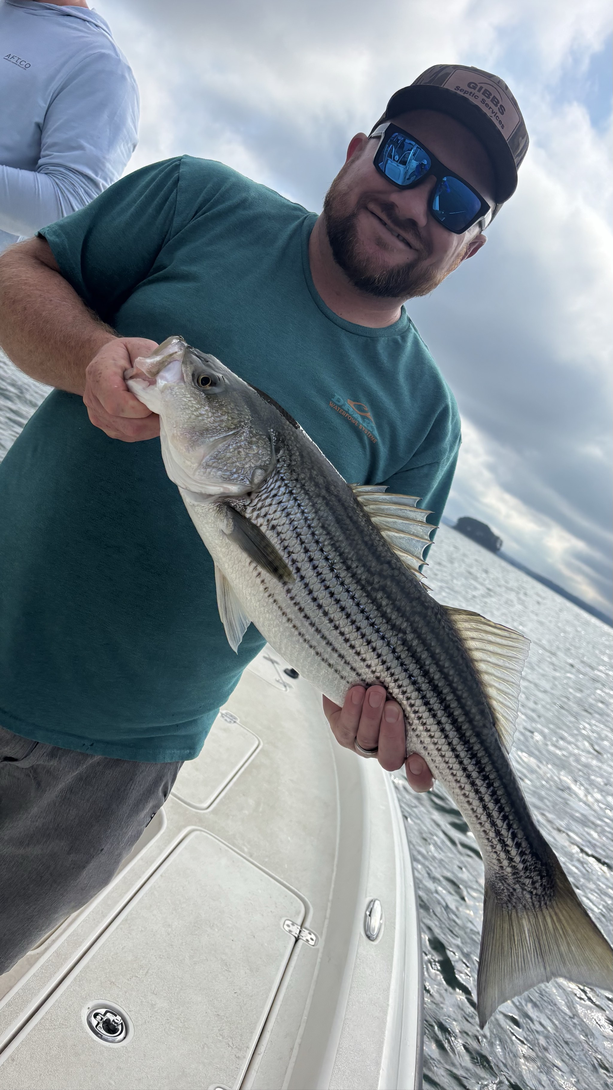 August Striped Bass Action on Lake Lanier