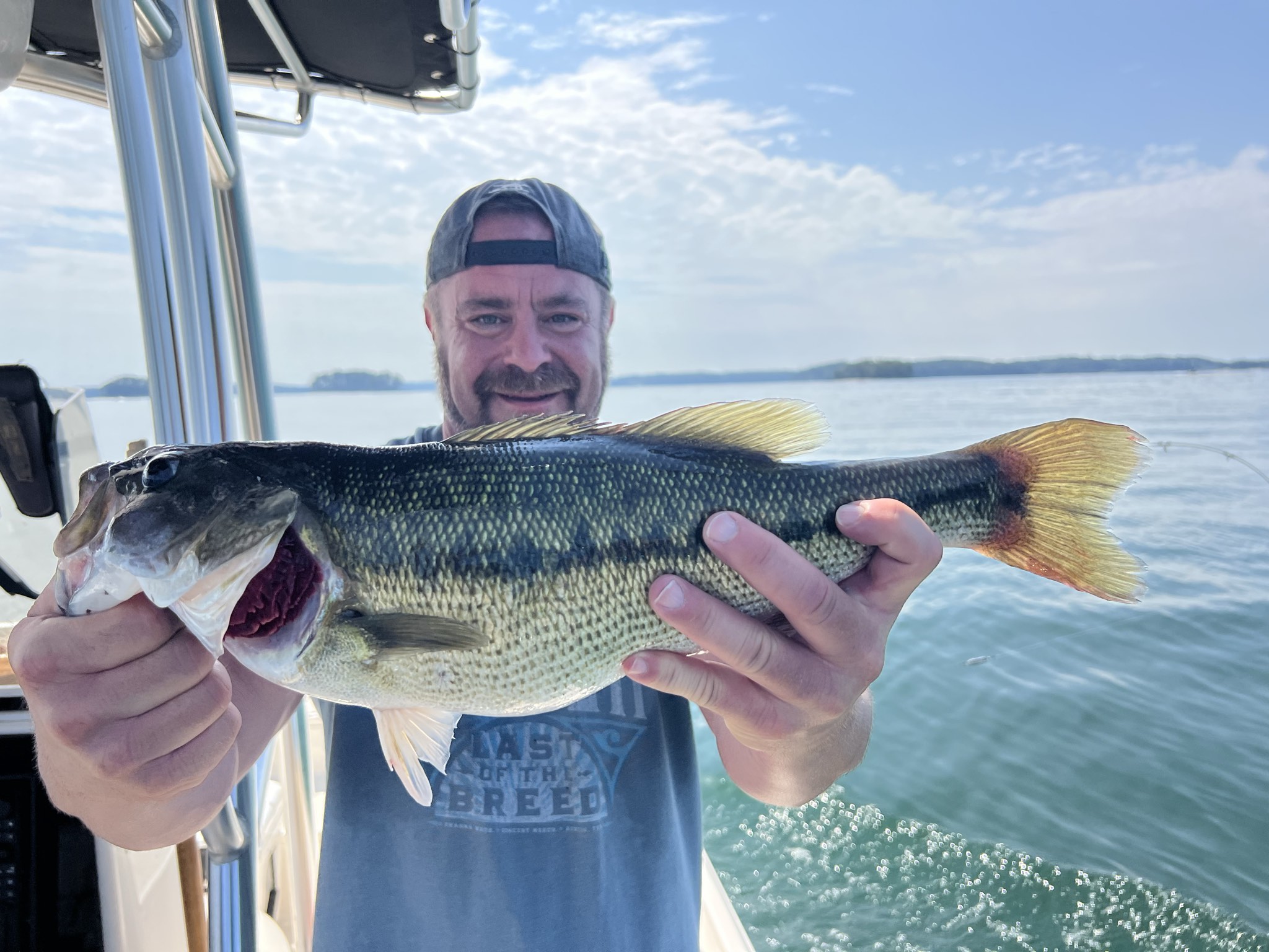September Gar And Bass Action Lake Lanier