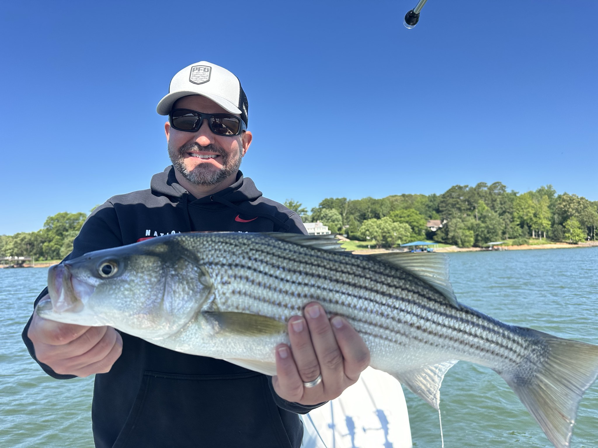 Striped Bass — June 2026