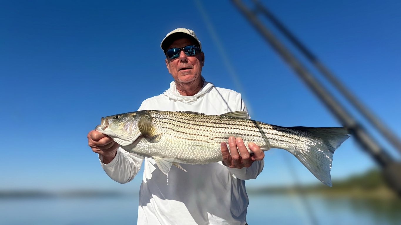 September Stripers Score Big at Lake Lanier