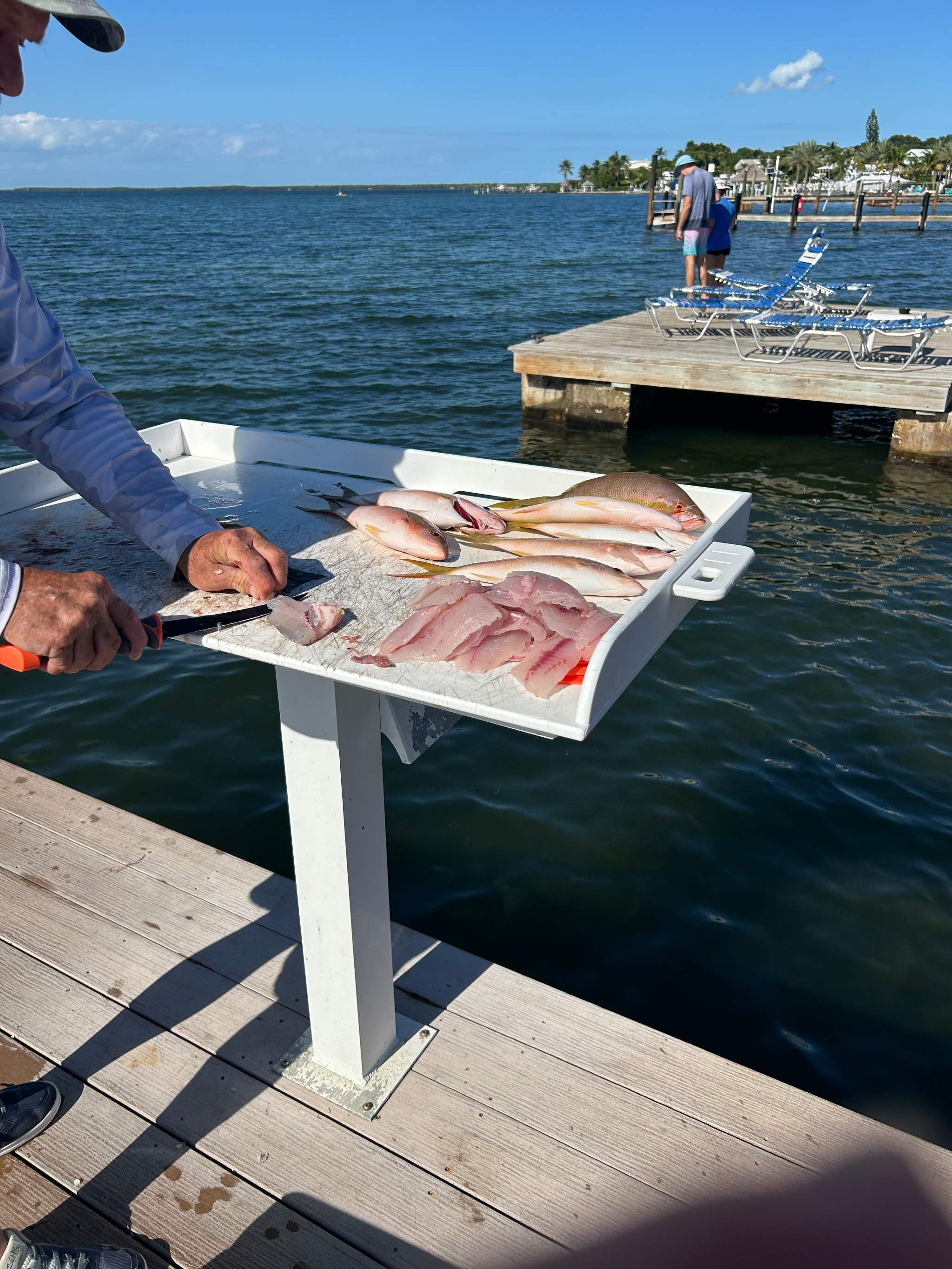 4 yellowtail snapper and hogfish caught out of Key Largo, Oct 21, 2026