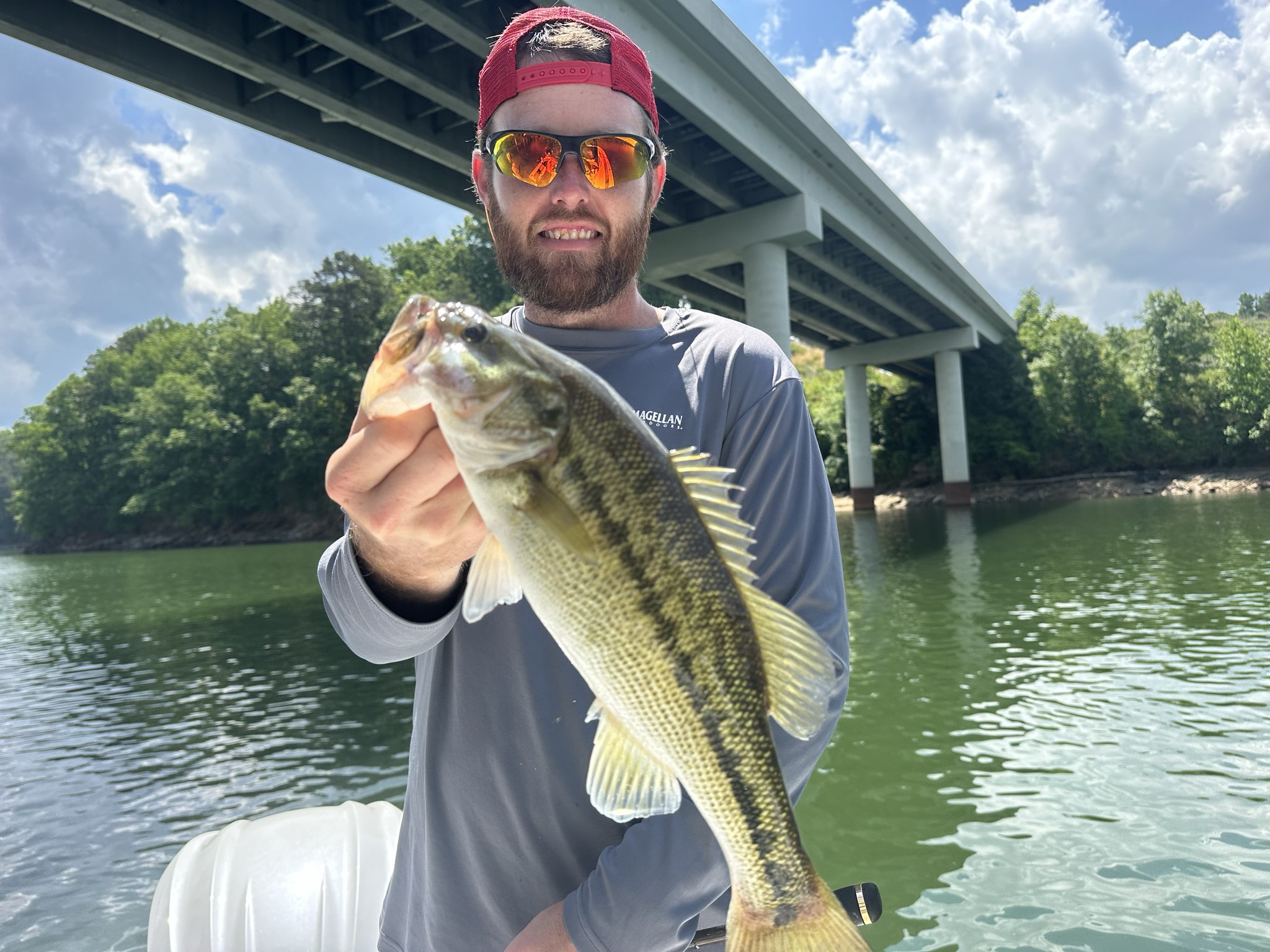 Striped Bass — May 2026