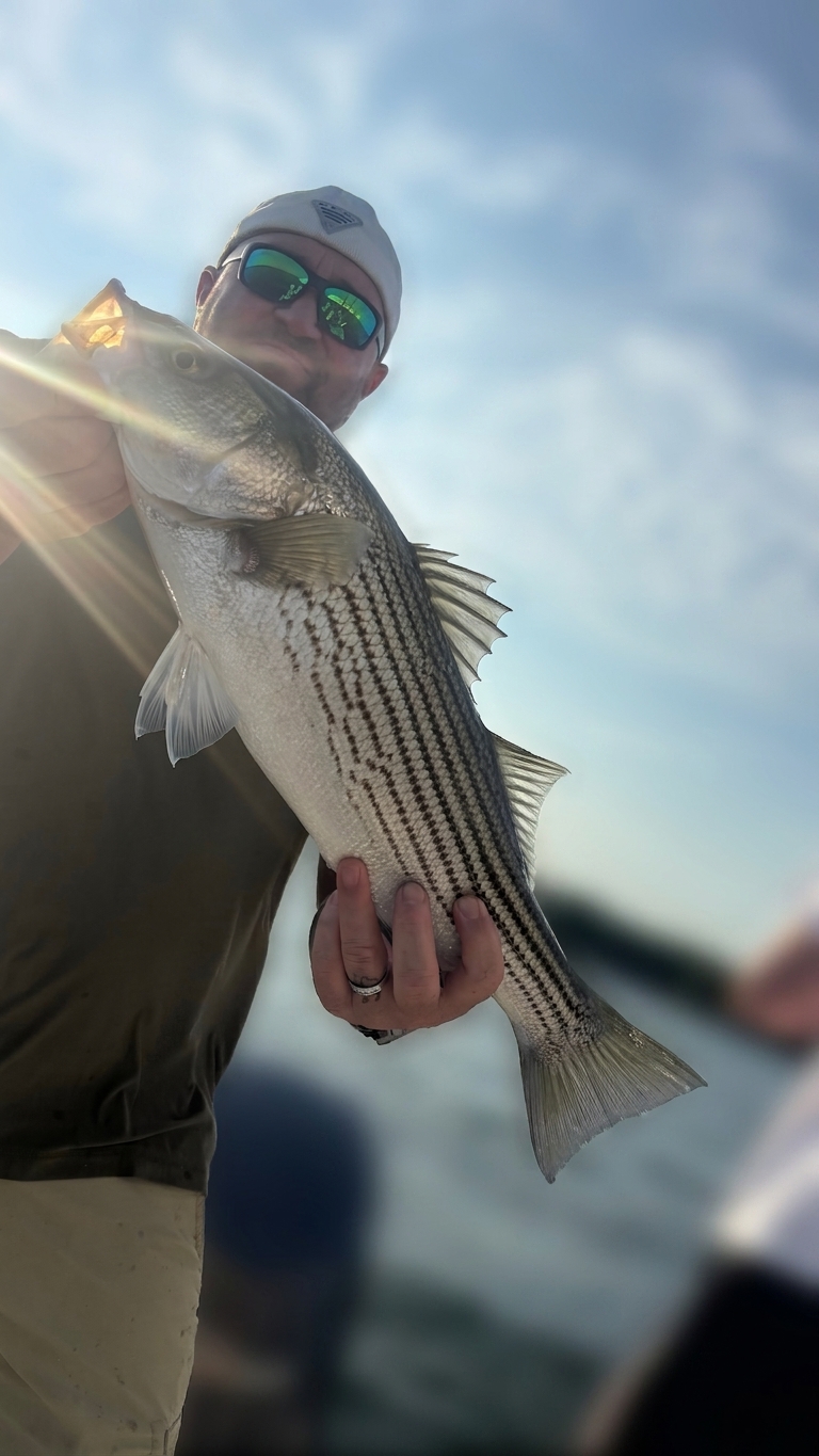 Lake Lanier bass — August 2026