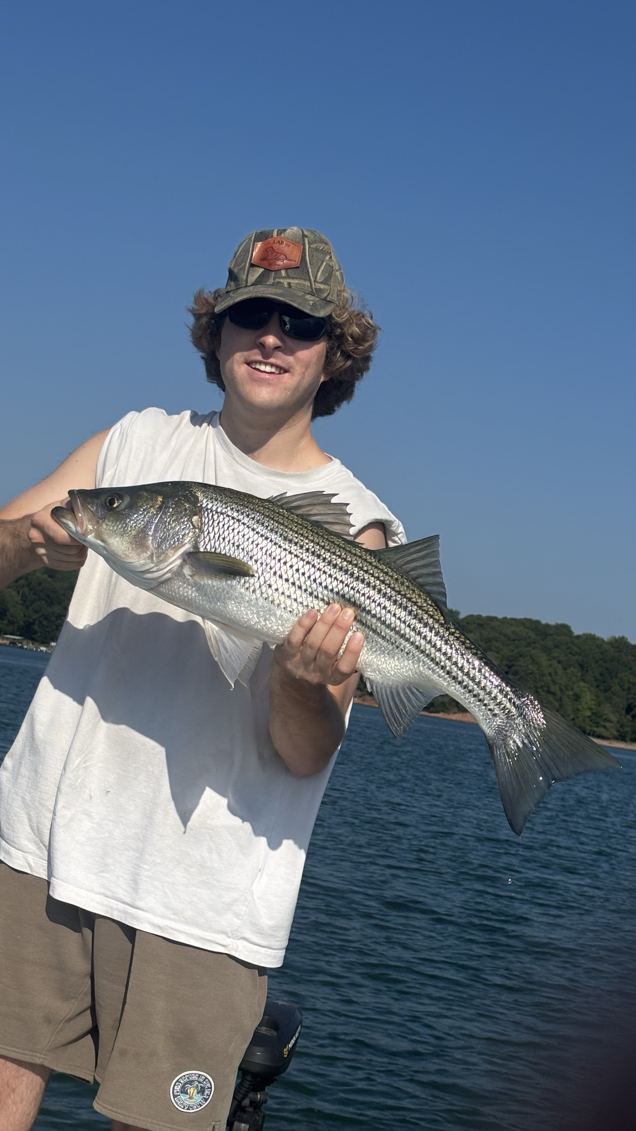 September Striped & Spotted Bass on Lake Lanier