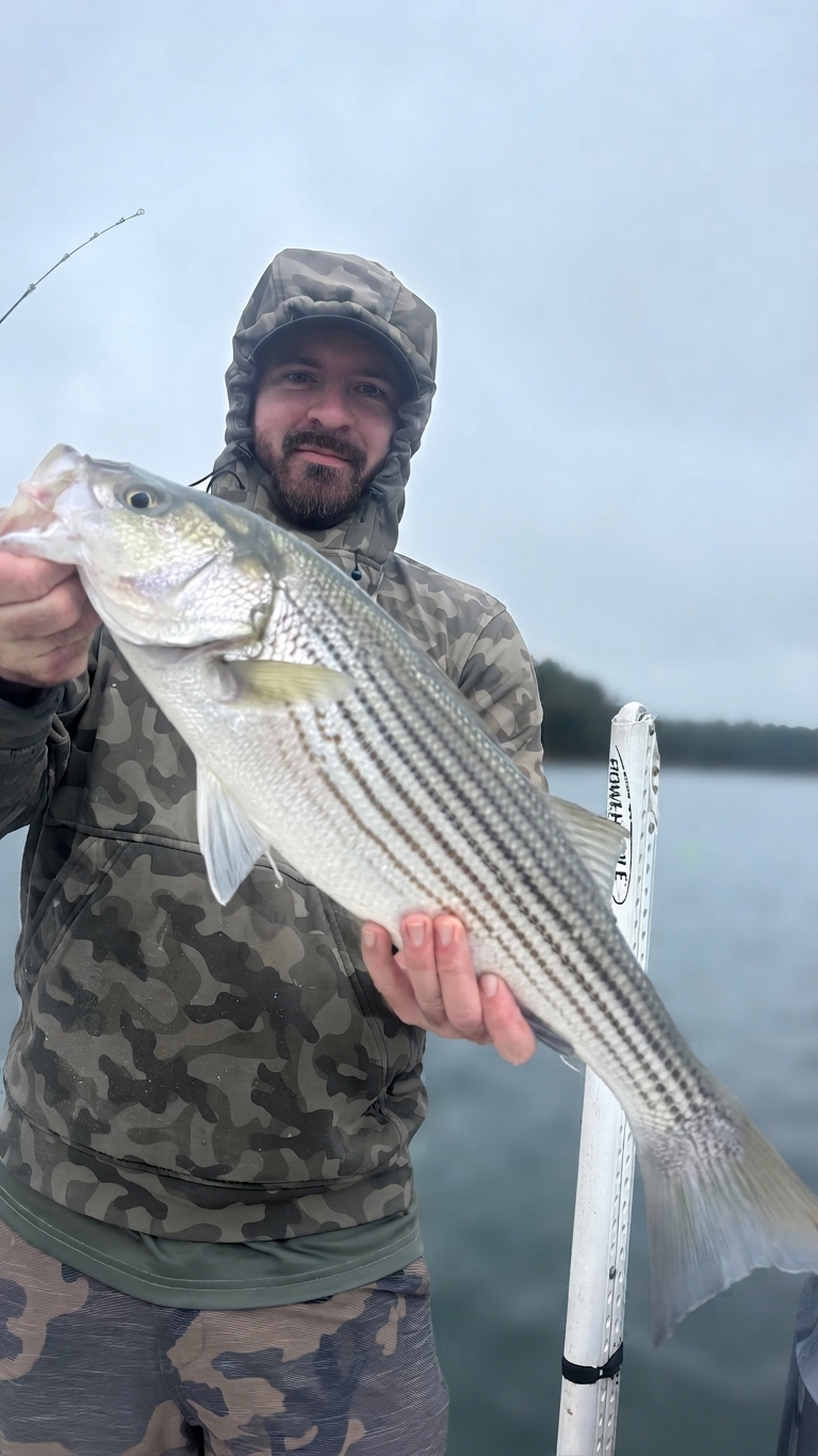Lake Lanier Channel catfish — October 2026