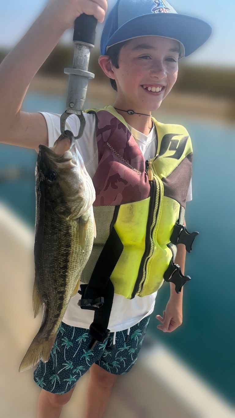Striped Bass Spotted Bass Lake Lanier July