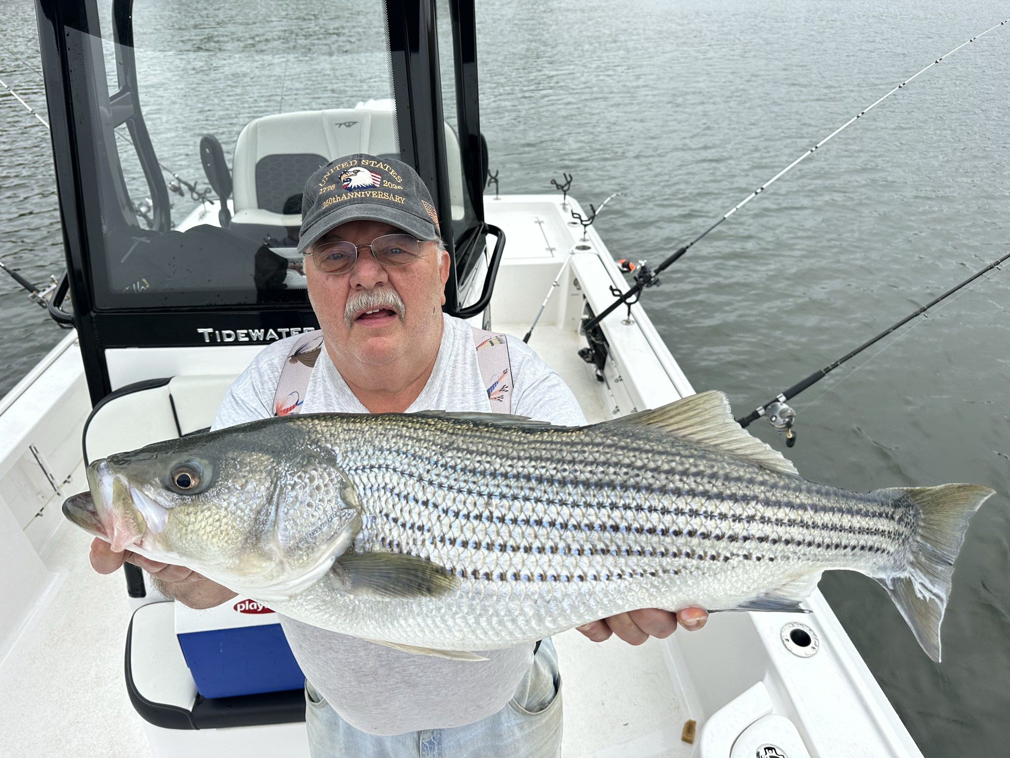 Striped Bass — April 2026