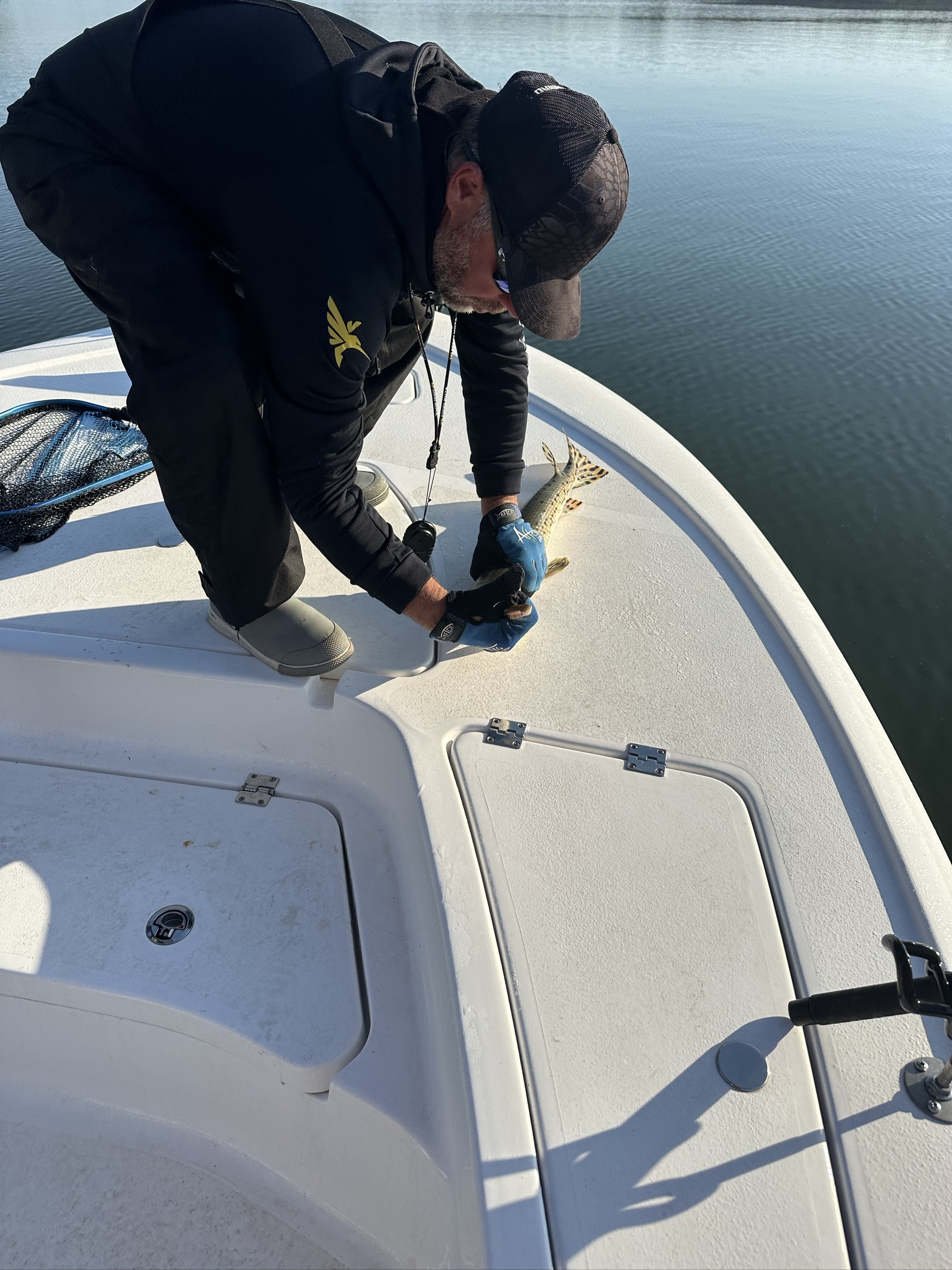 Striped Bass And Spotted Bass On Lake Lanier