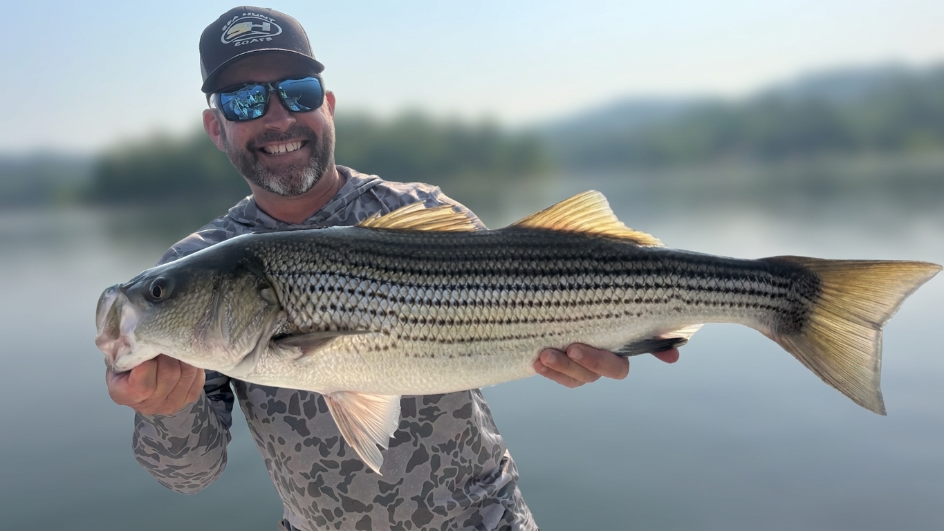 Striped Bass Spotted Bass Lake Lanier July
